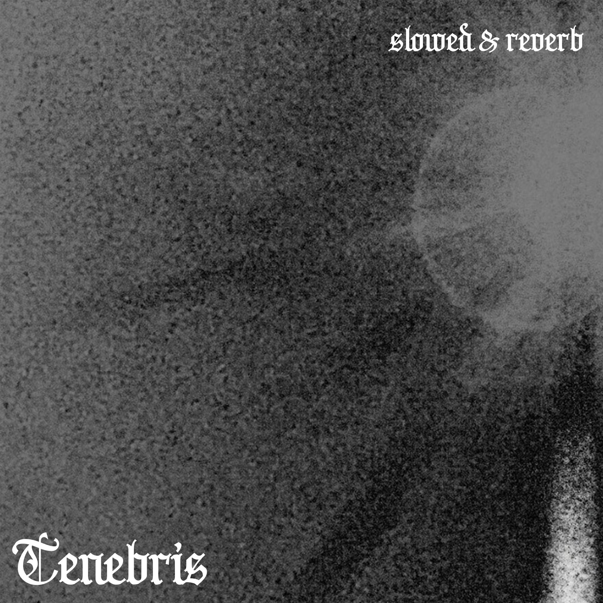 Постер альбома Tenebris (slowed & reverb)