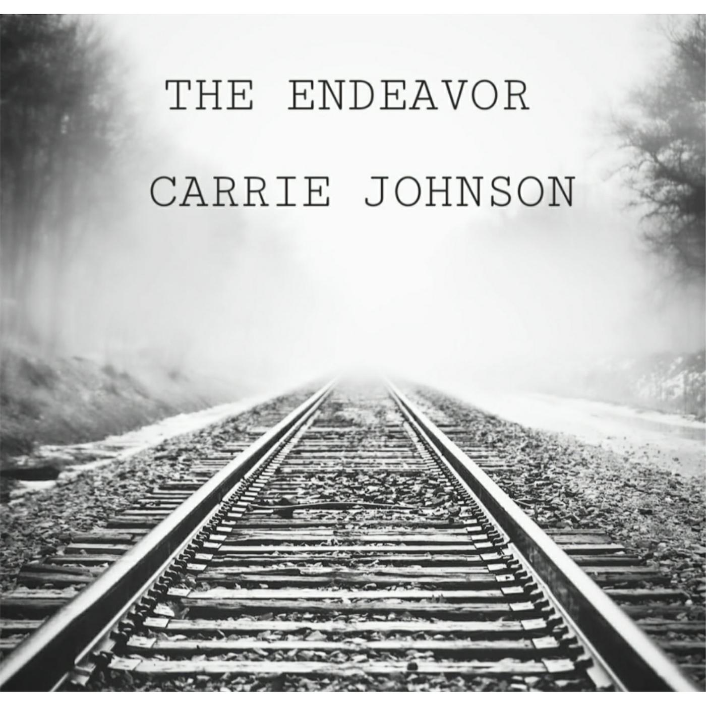 Постер альбома The Endeavor