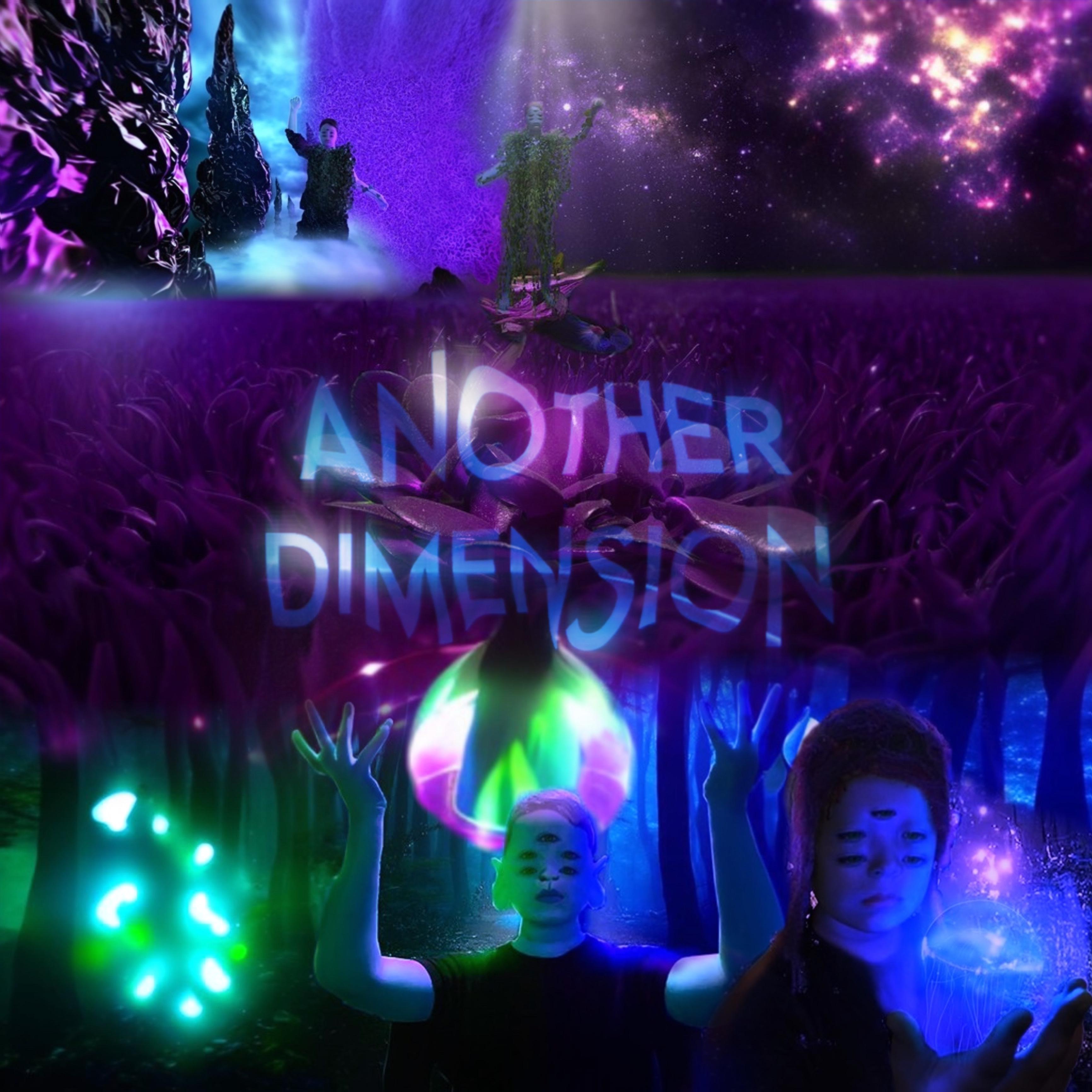 Постер альбома Another Dimension