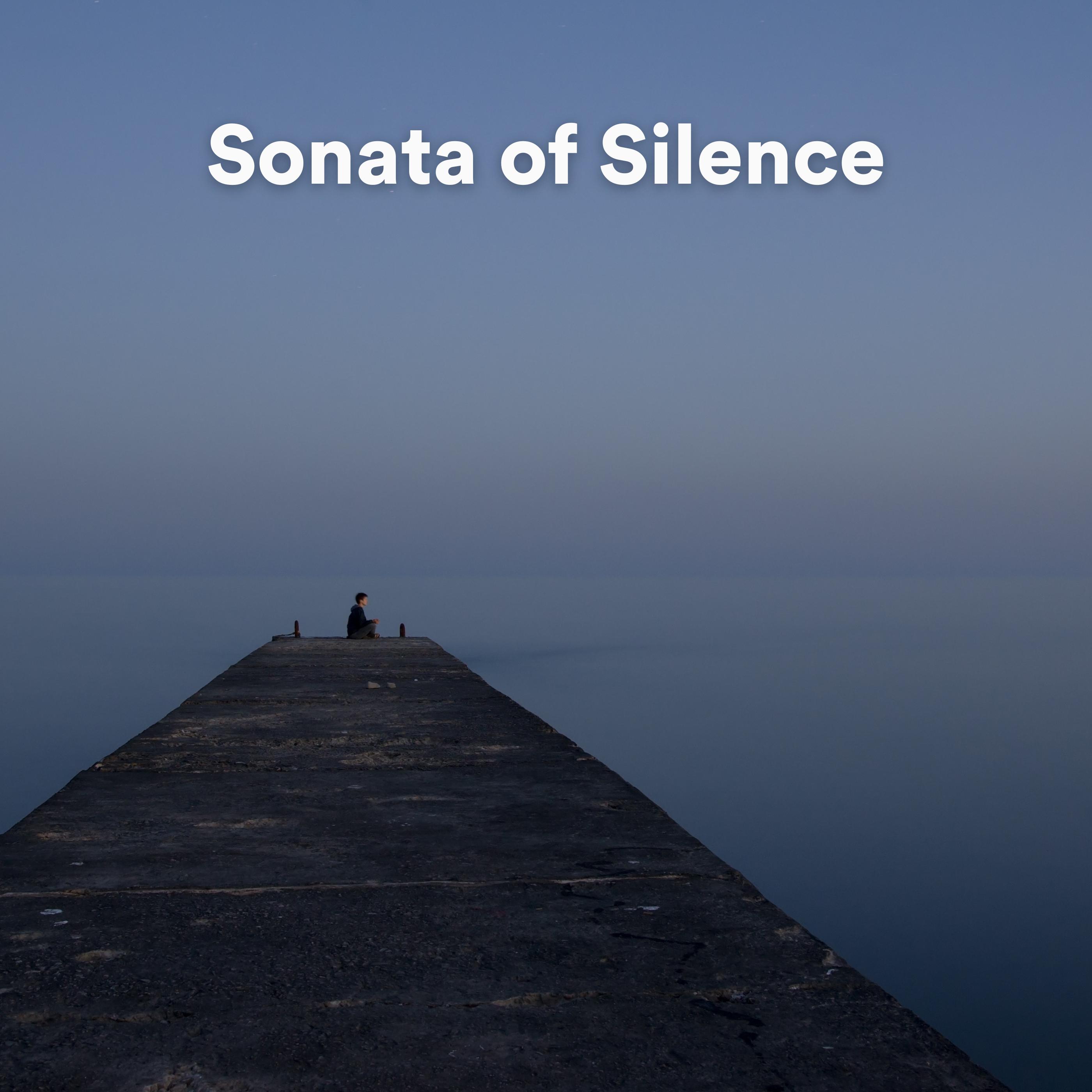 Постер альбома Sonata of Silence