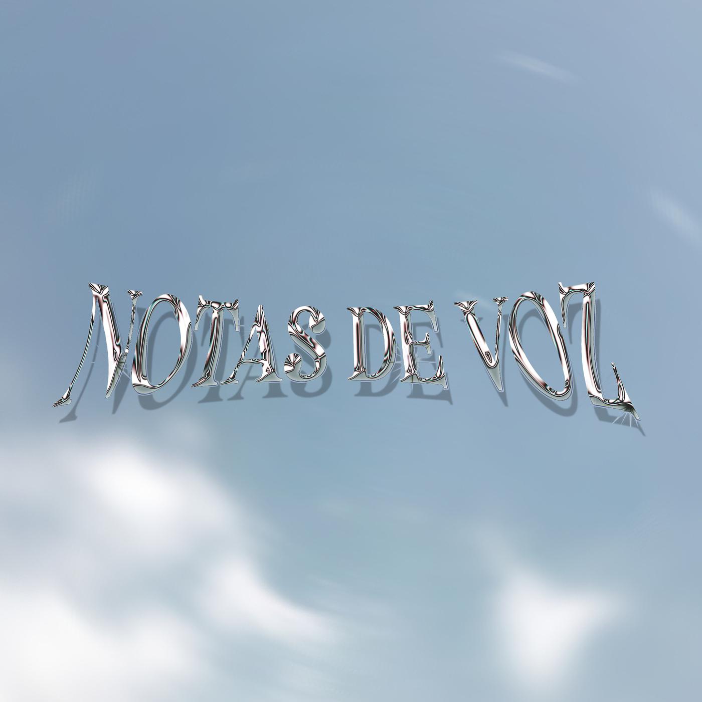 Постер альбома Notas De Voz