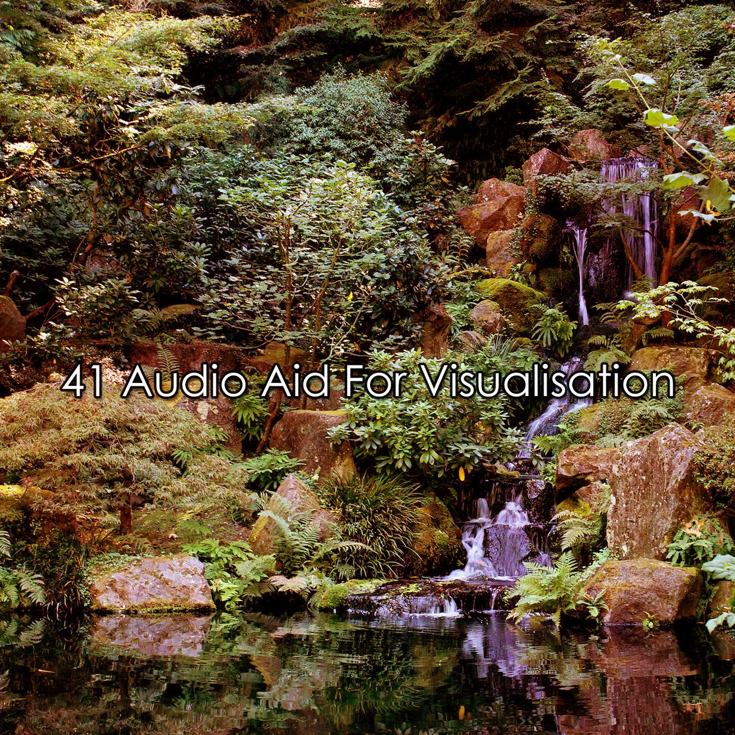 Постер альбома 41 Audio Aid For Visualisation