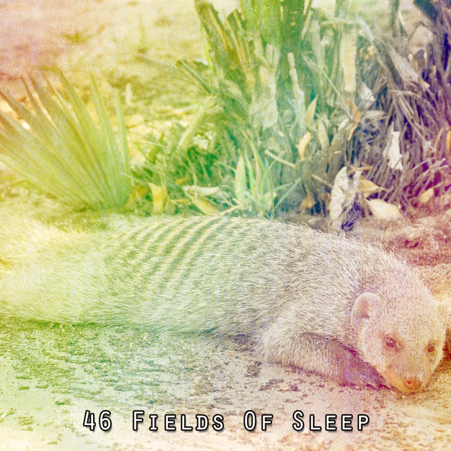 Постер альбома 46 Fields Of Sleep