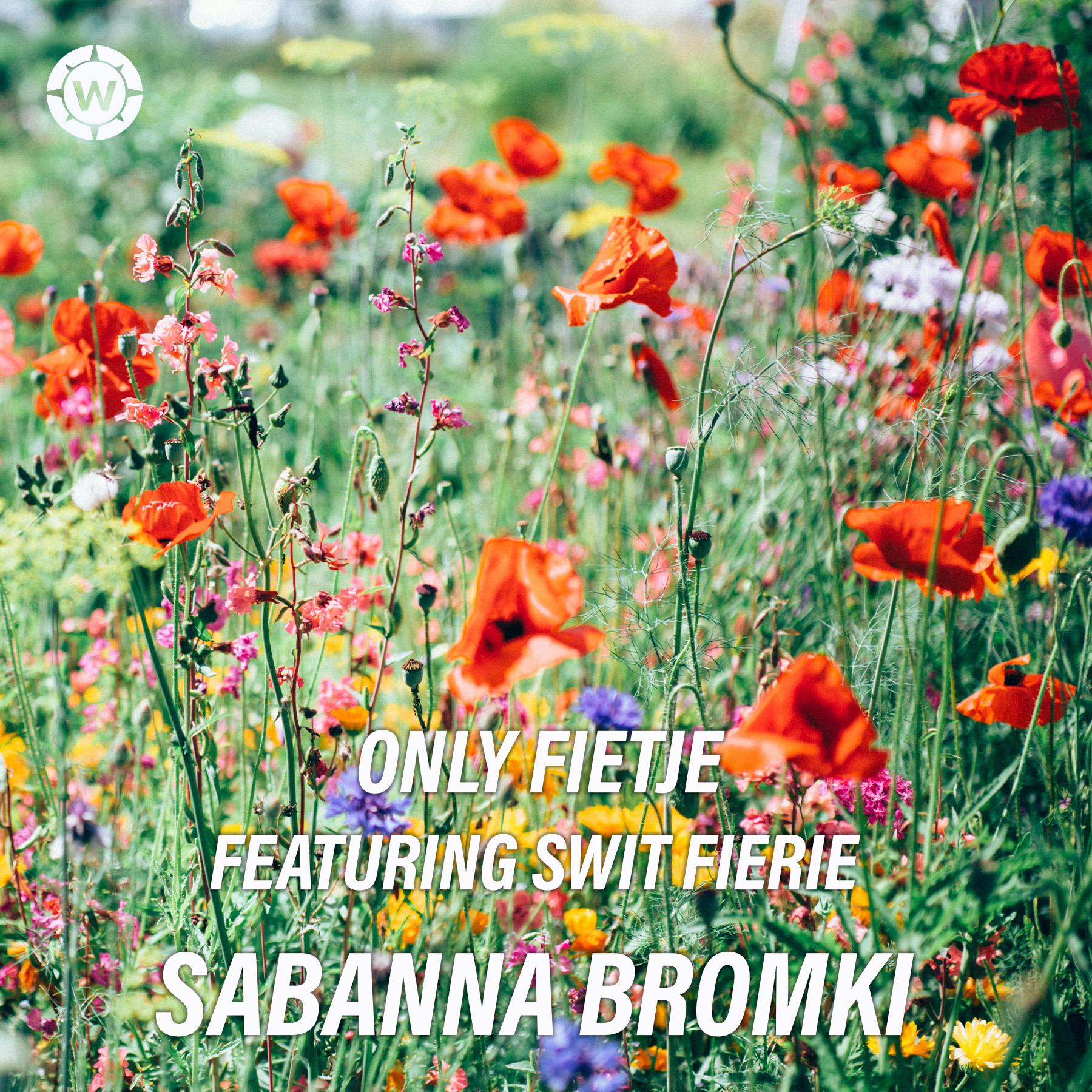 Постер альбома Sabanna Bromki