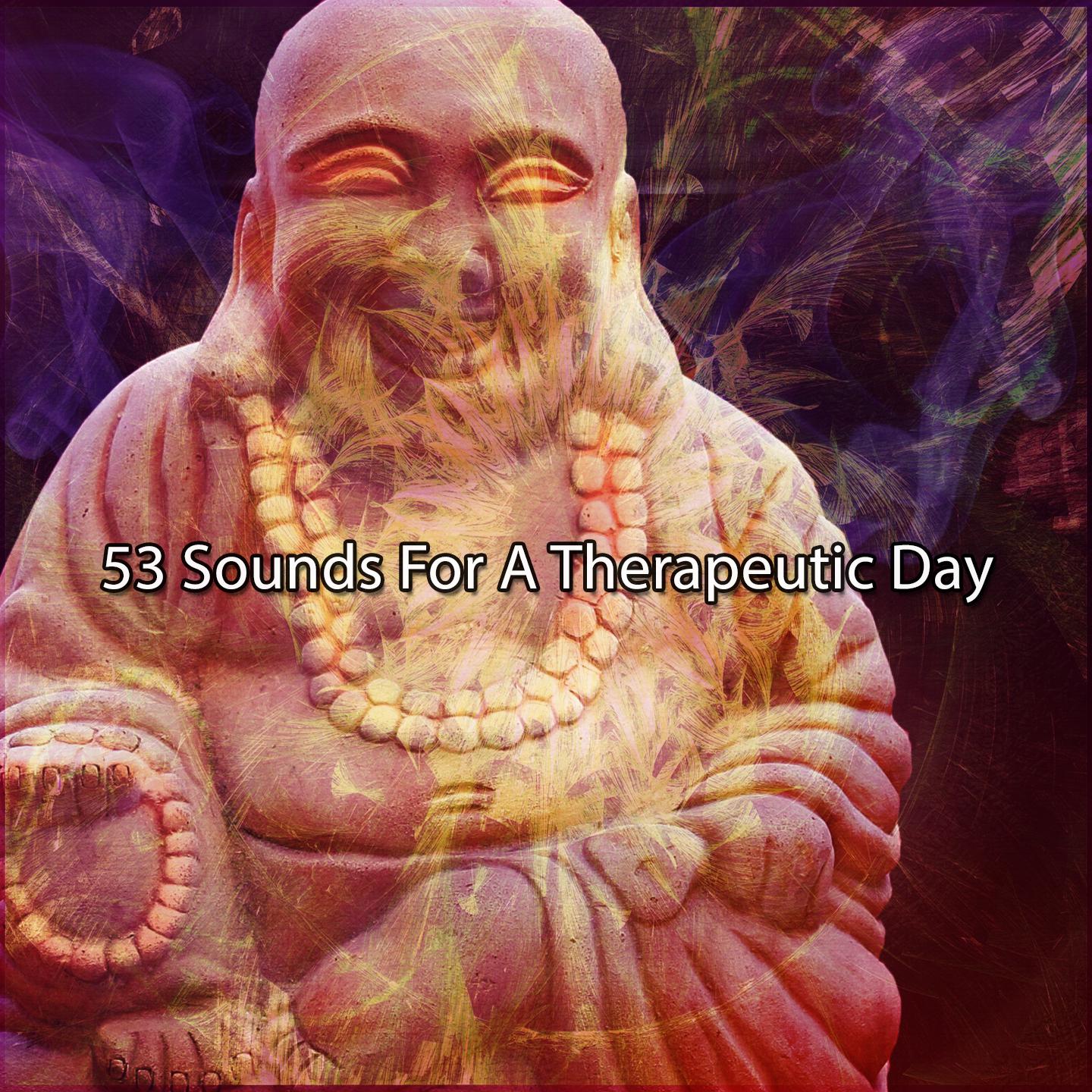 Постер альбома 53 Sounds For A Therapeutic Day