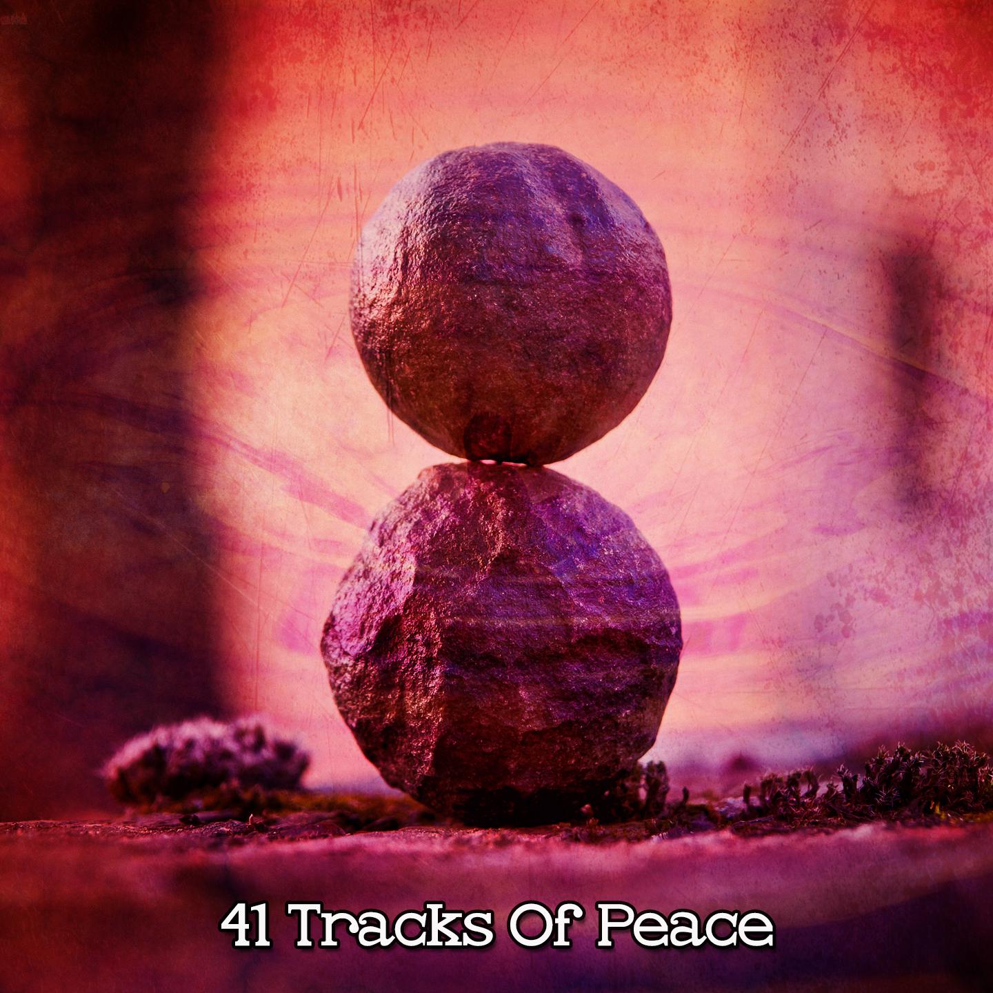Постер альбома 41 Tracks Of Peace