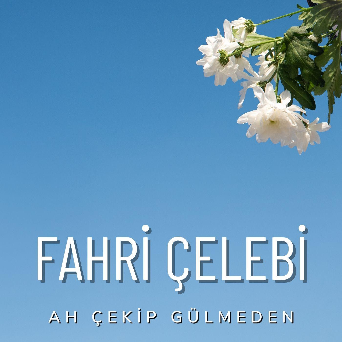 Постер альбома Ah Çekip Gülmeden