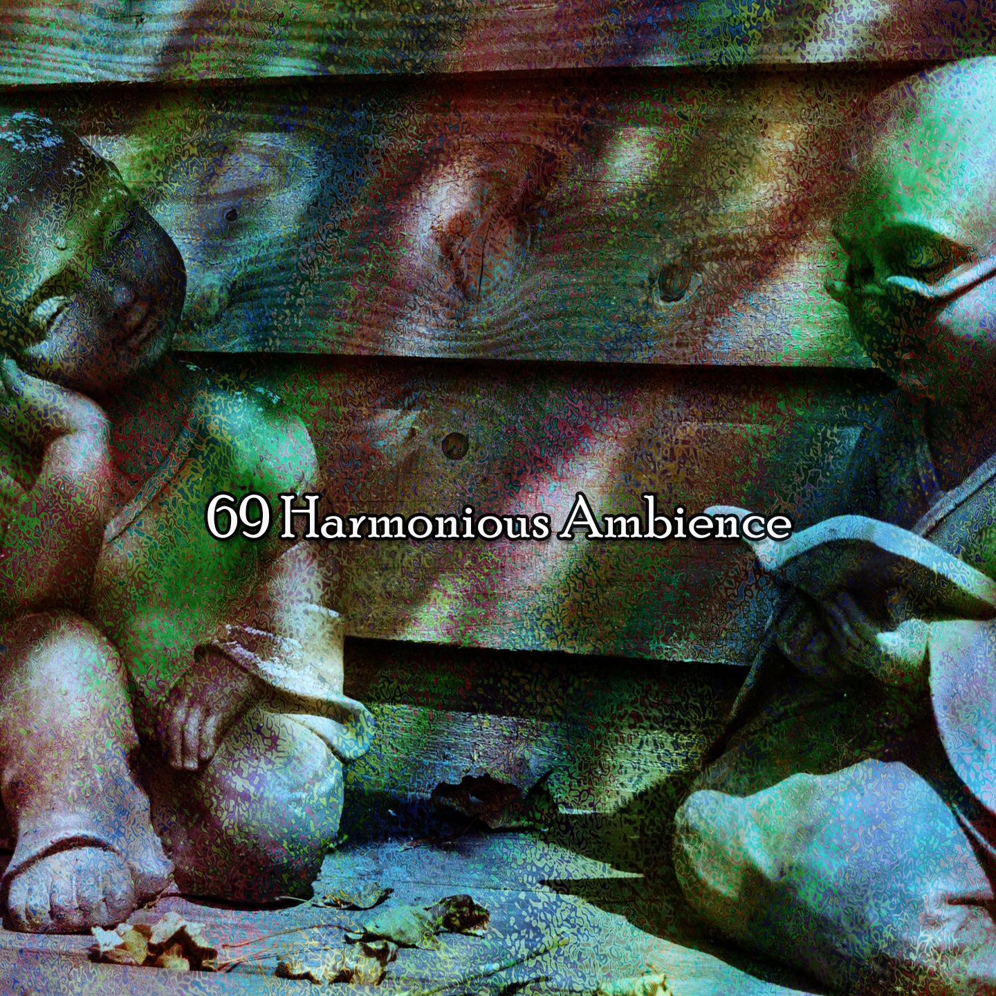 Постер альбома 69 Harmonious Ambience