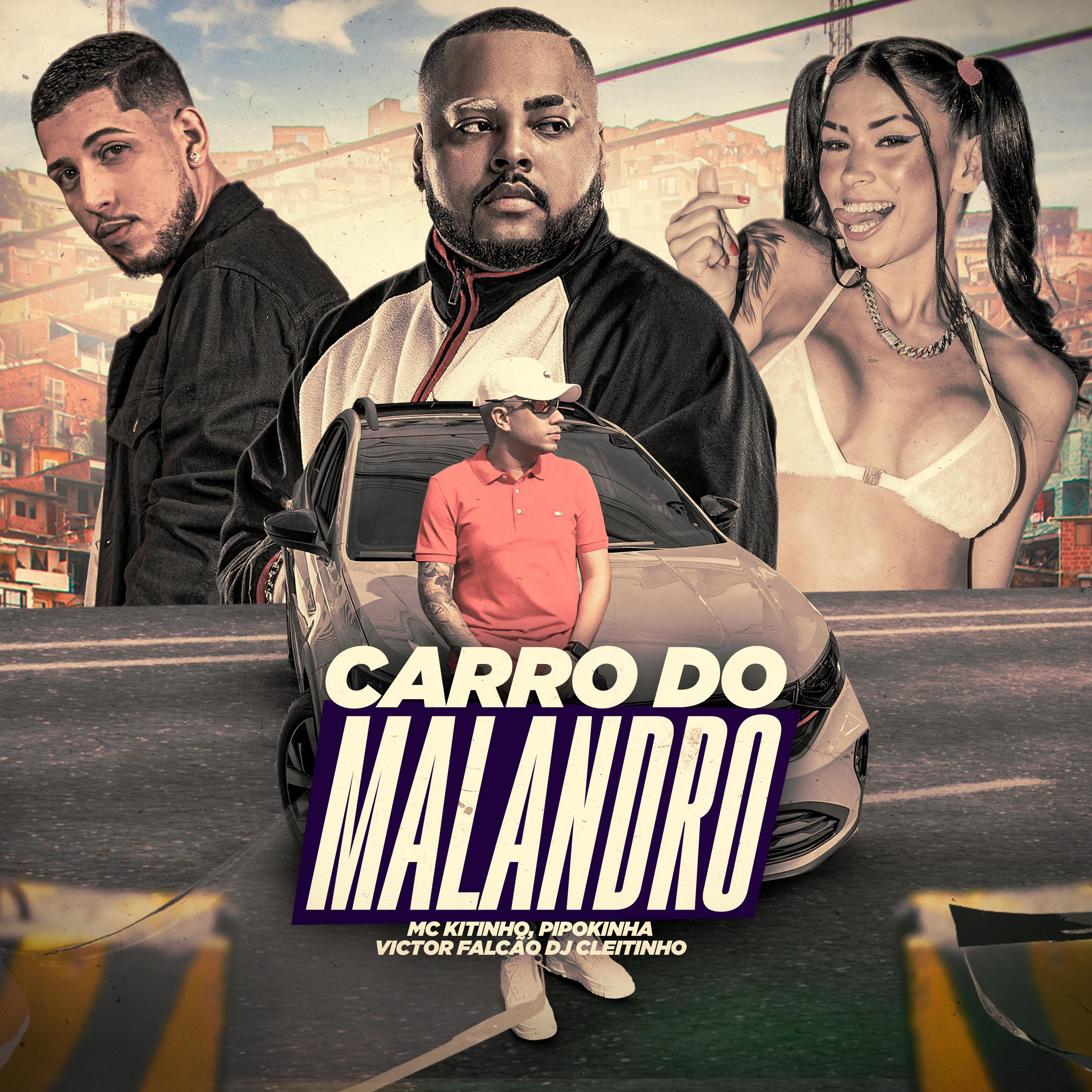 Постер альбома Carro do Malandro