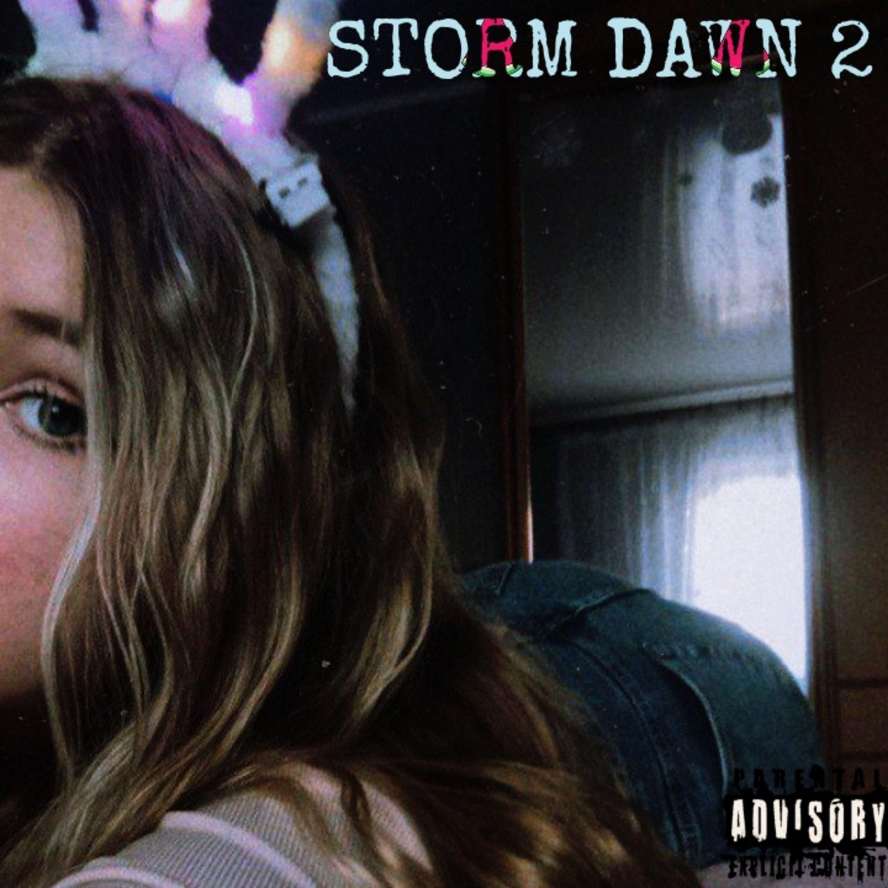 Постер альбома STORM DAWN 2