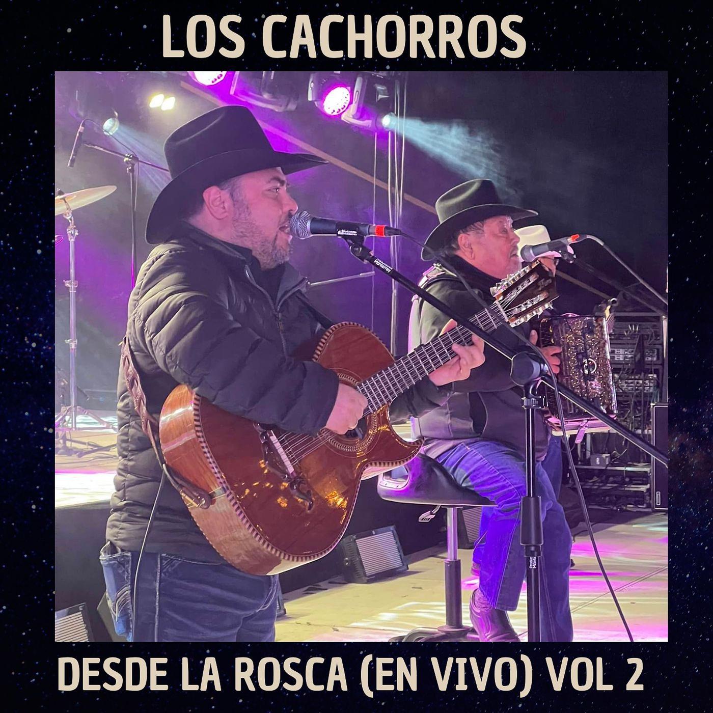 Постер альбома Desde La Rosca, Vol. 2 (En Vivo)