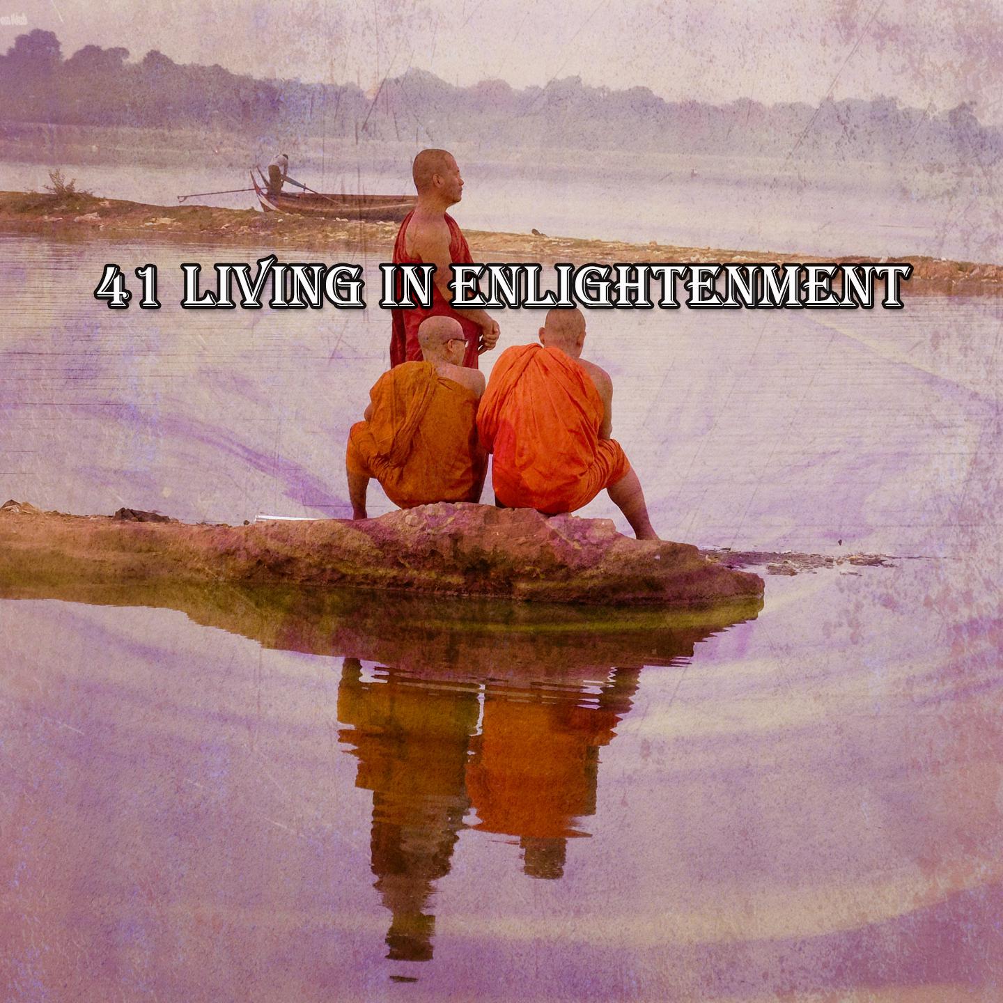 Постер альбома 41 Living In Enlightenment