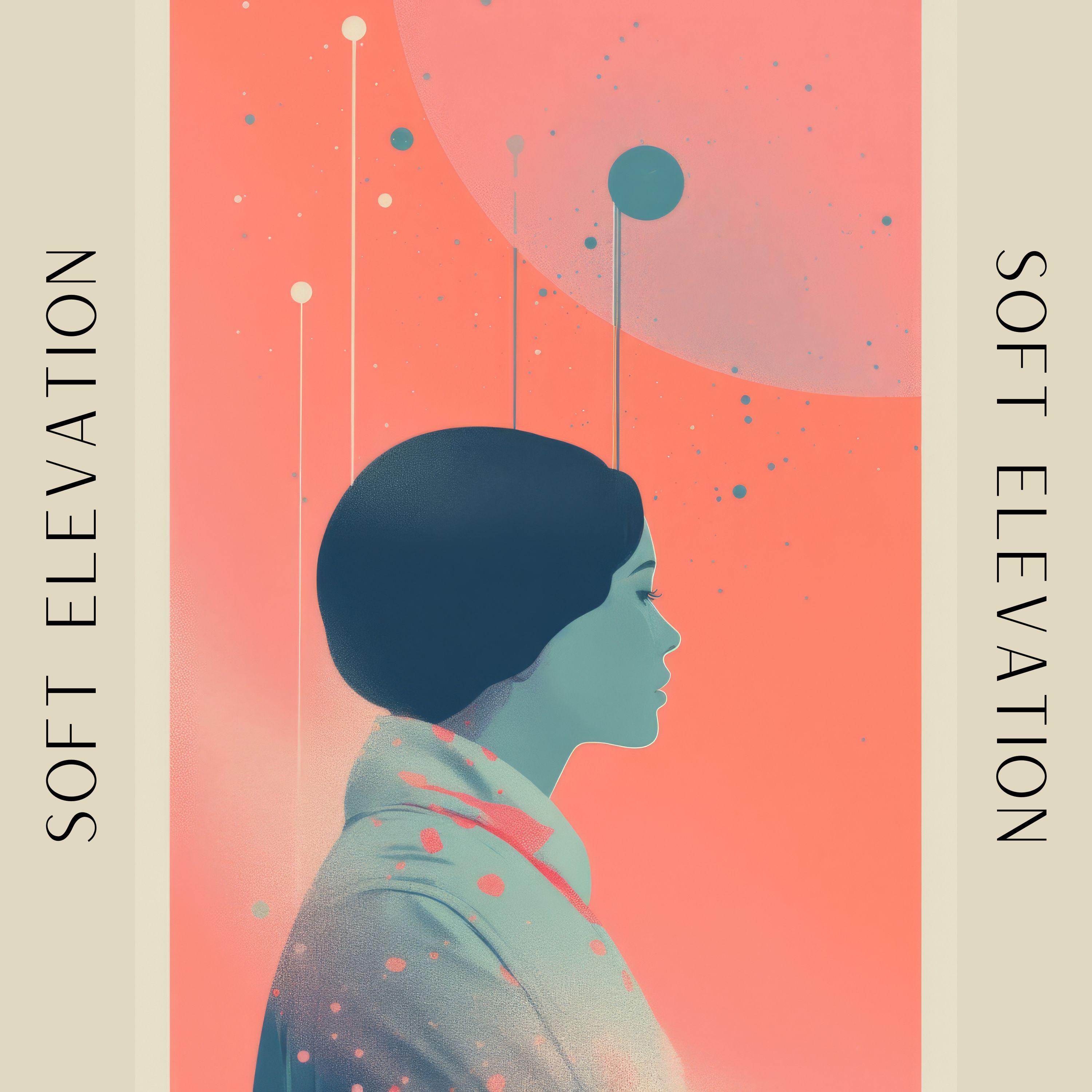 Постер альбома Soft Elevation