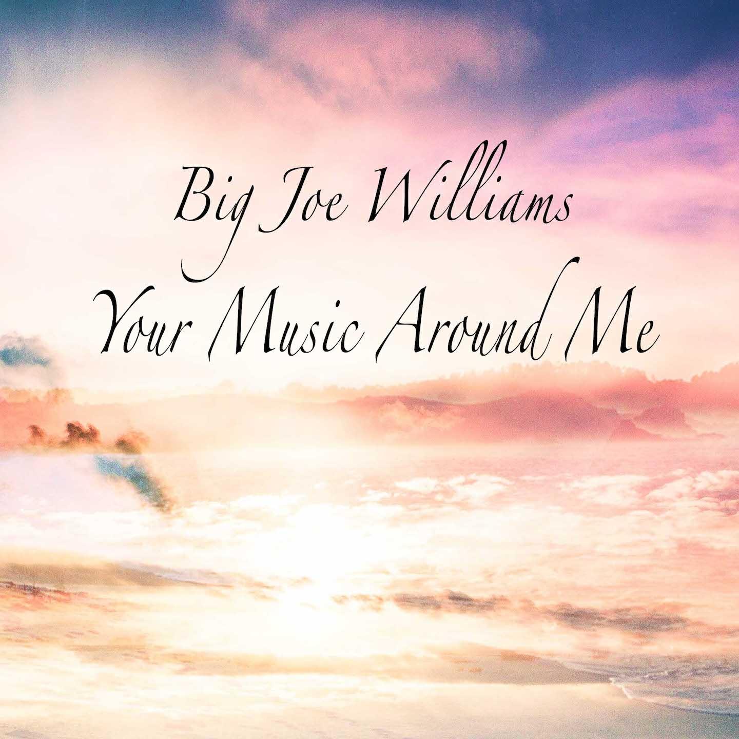 Big Joe Williams - I Wont Be in Hard Luck No More (Remastered)