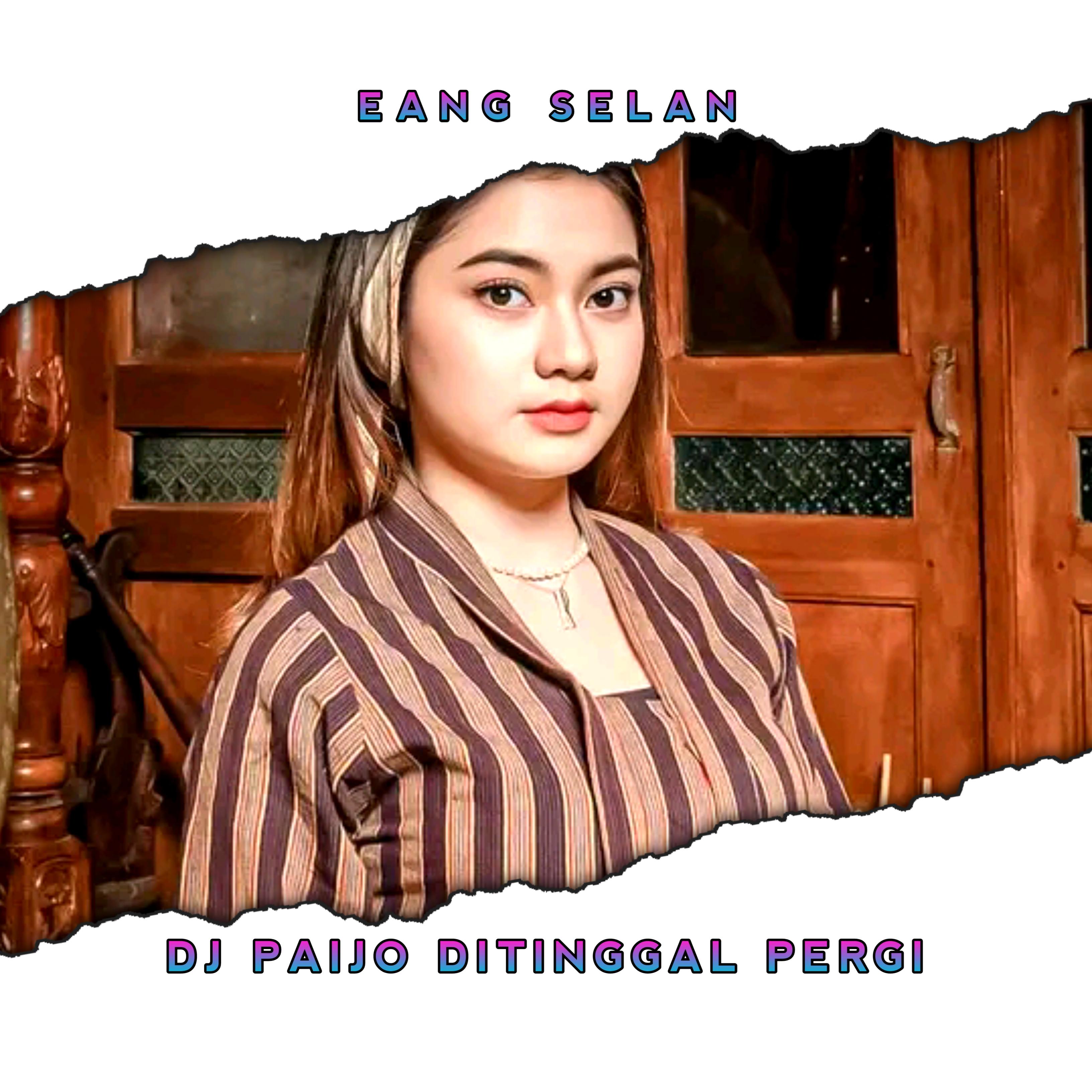 Постер альбома DJ Paijo Ditinggal Pergi