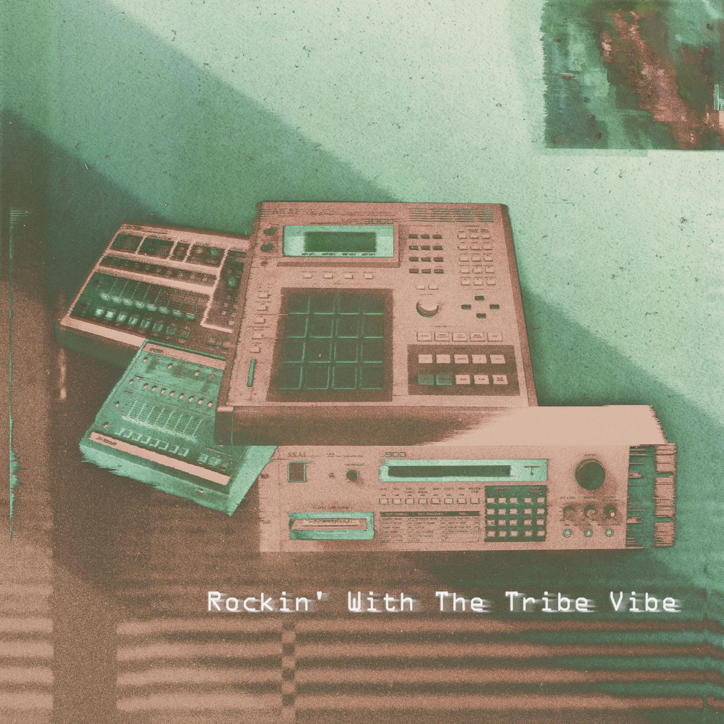 Постер альбома Rockin' With The Tribe Vibe