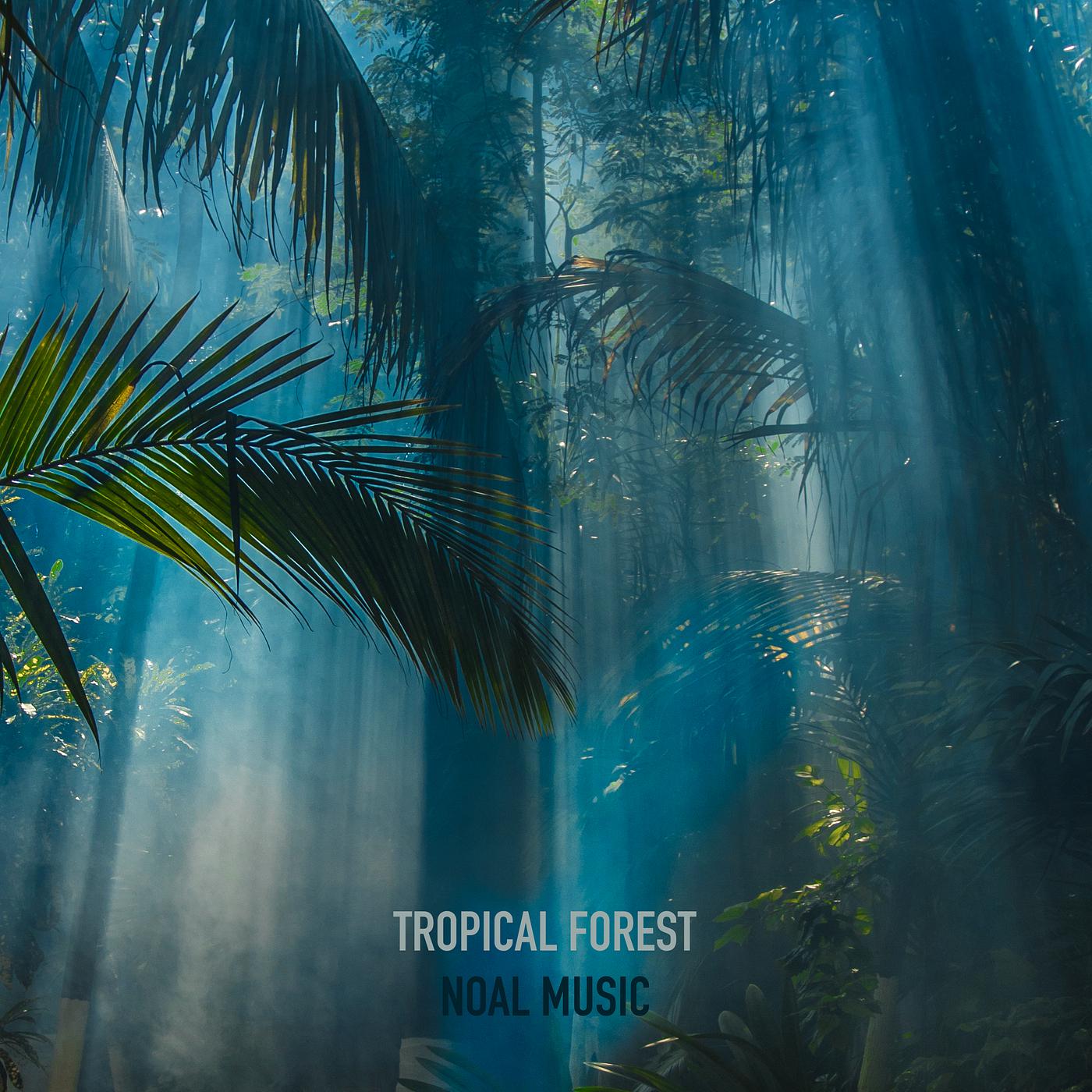 Постер альбома Tropical Forest