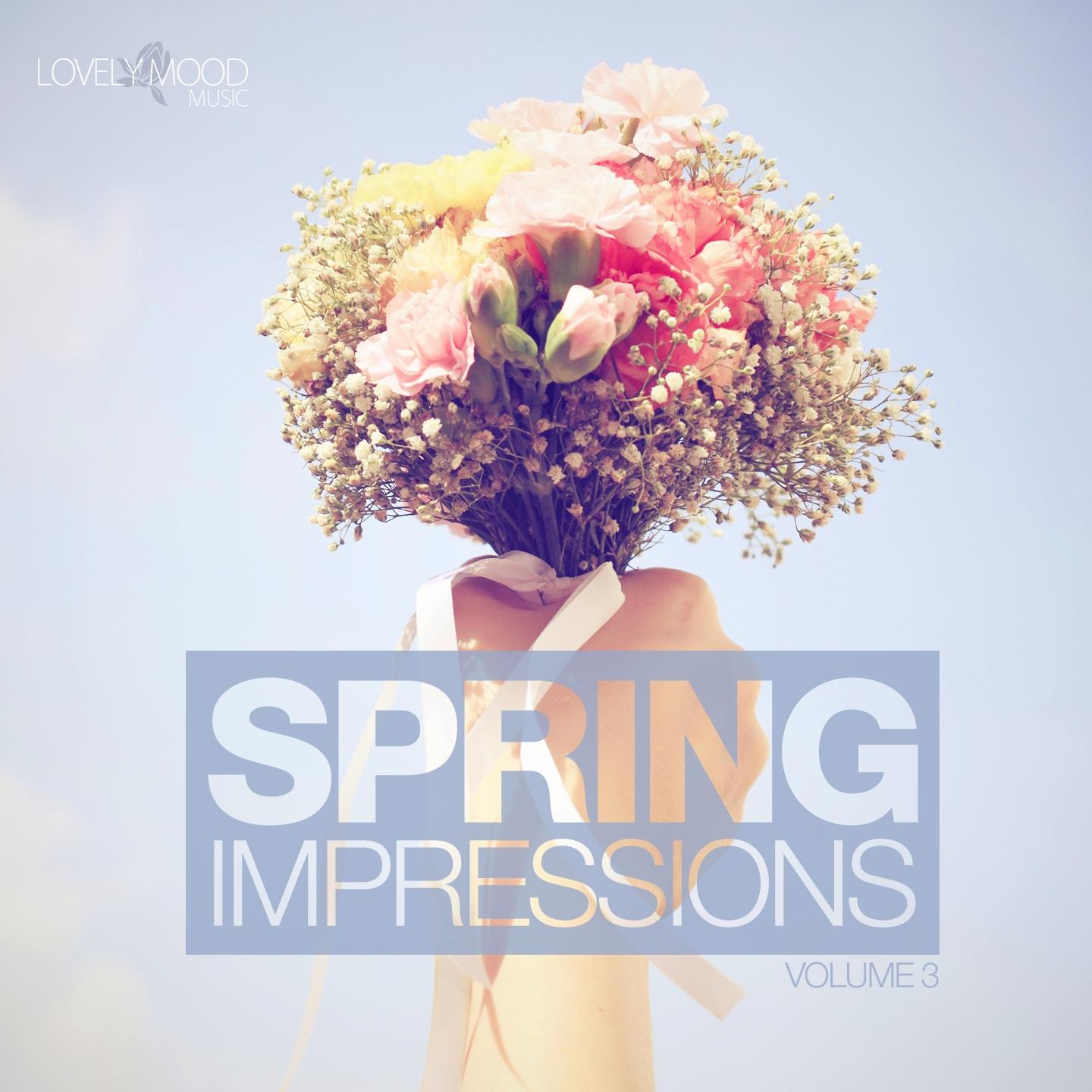 Постер альбома Spring Impressions, Vol. 3