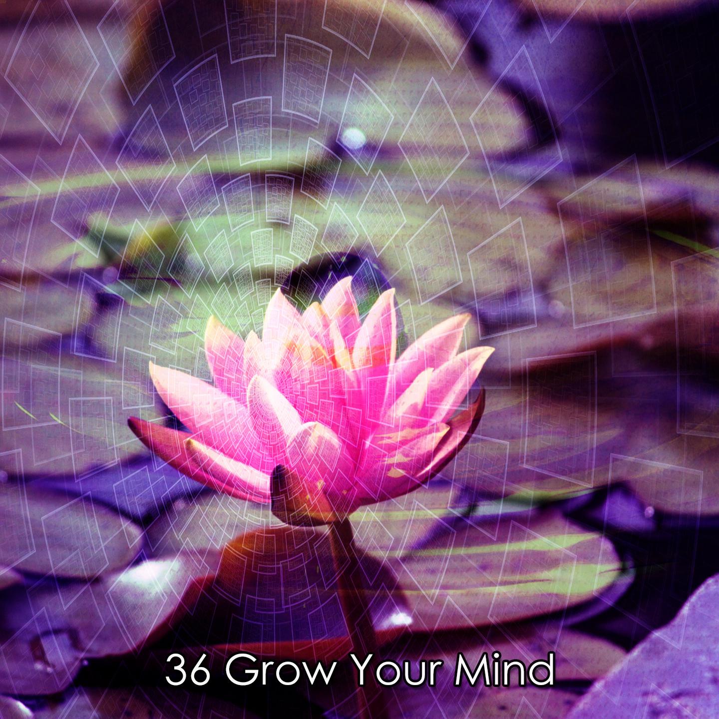 Постер альбома 36 Grow Your Mind