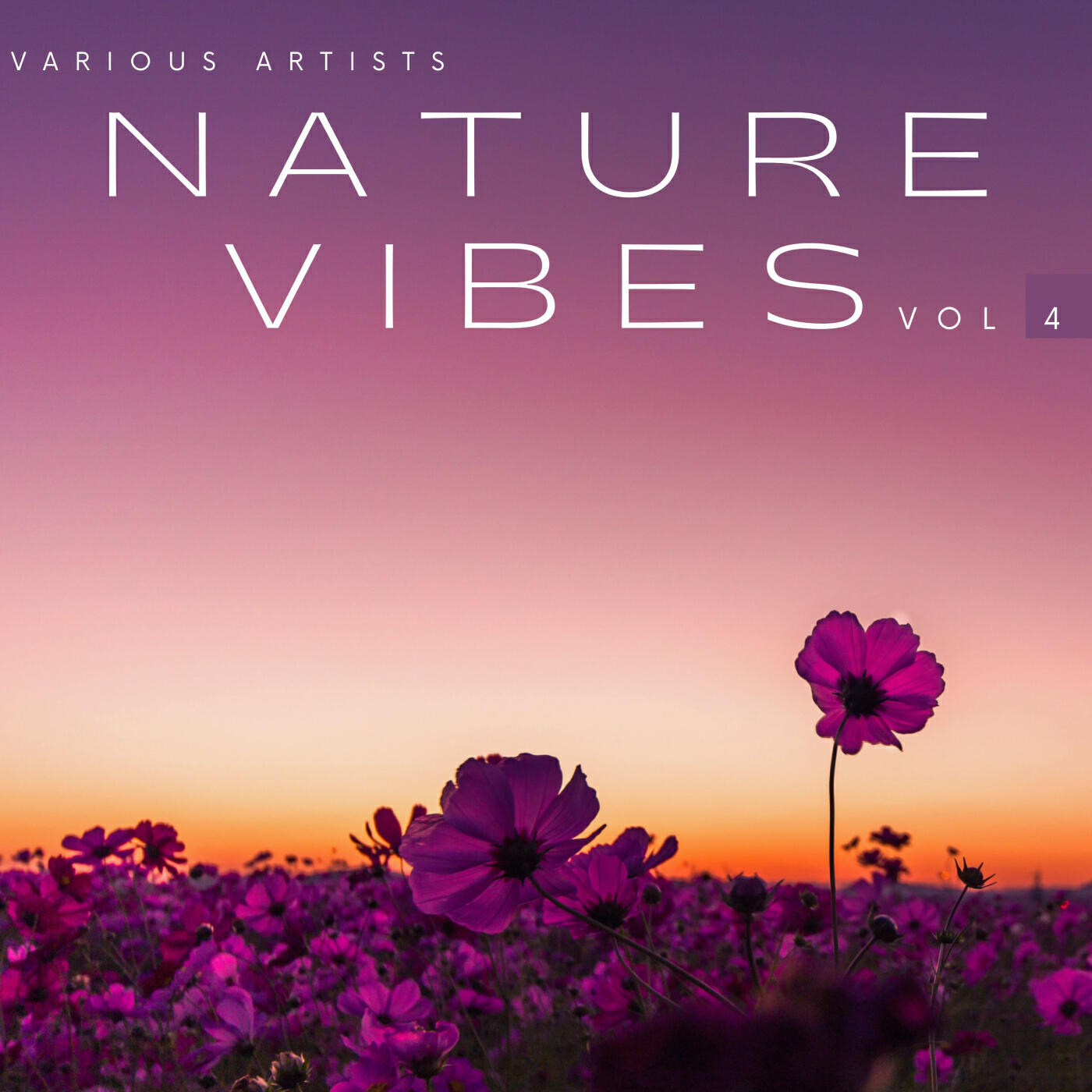 Постер альбома Nature Vibes, Vol. 4