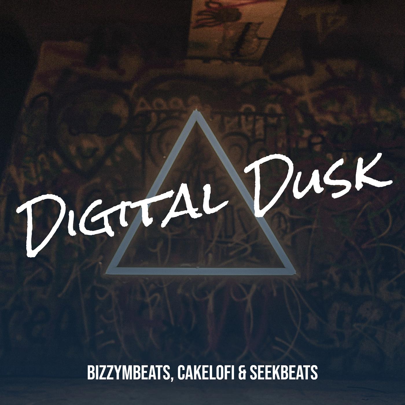 Постер альбома Digital Dusk