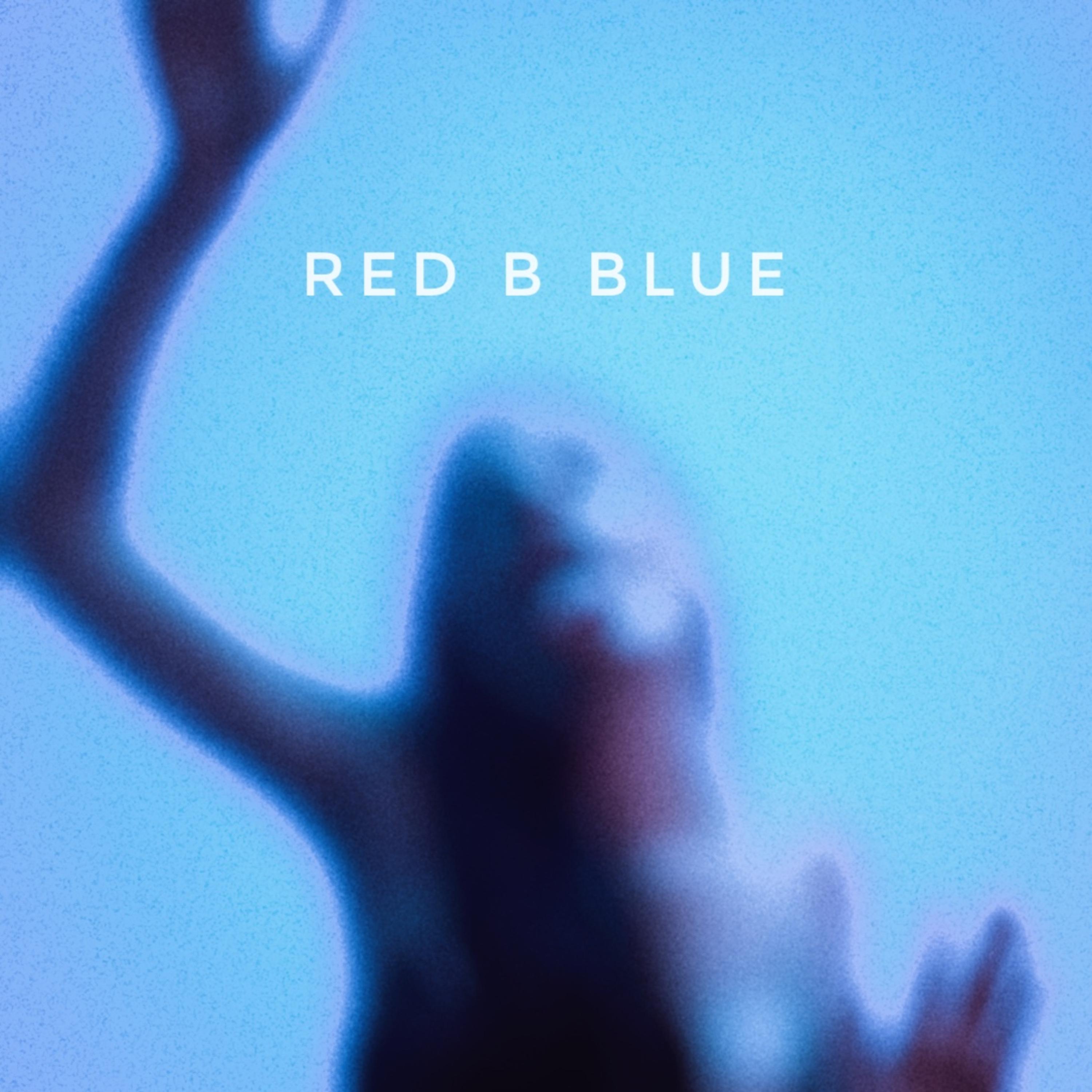 Постер альбома Red B Blue