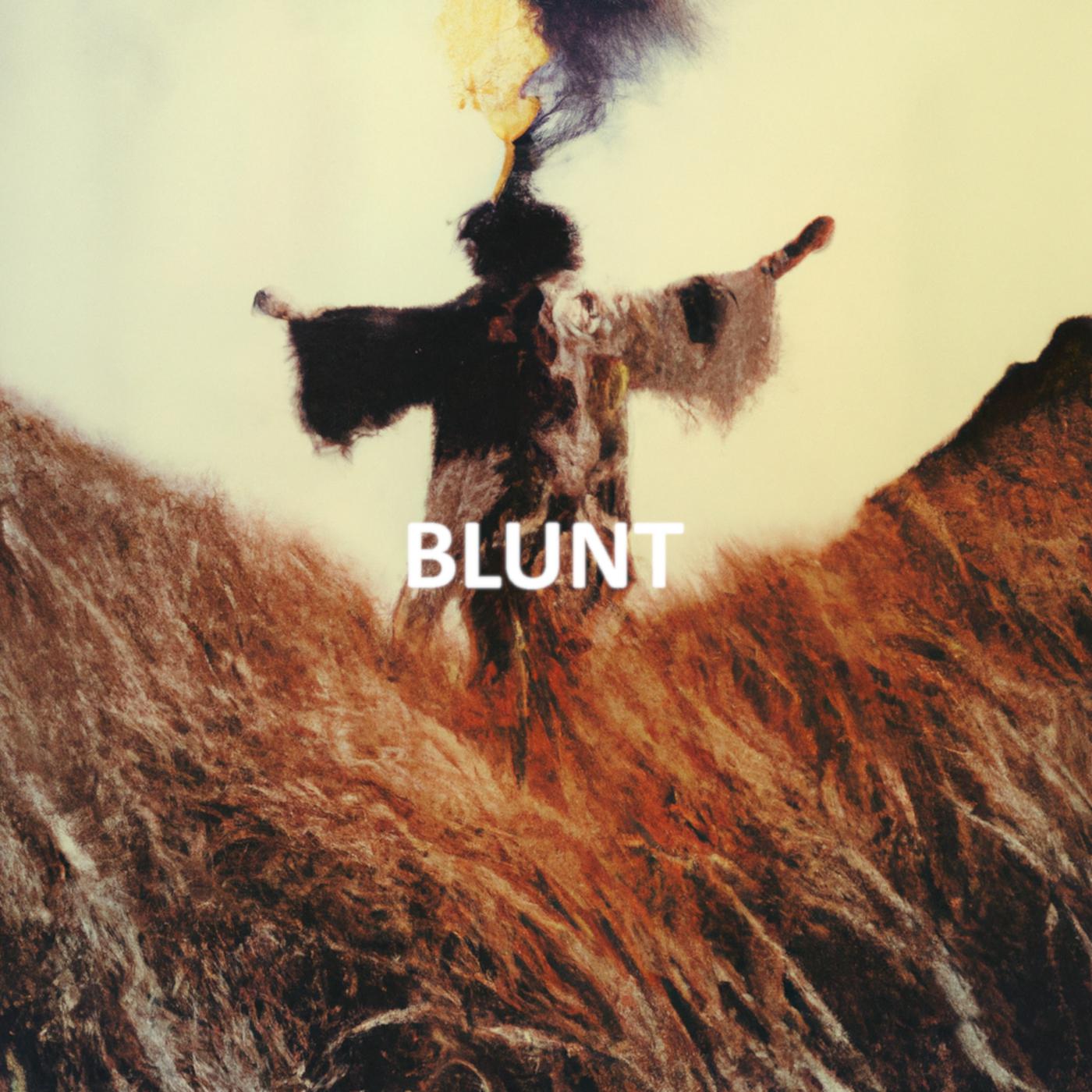 Постер альбома Blunt