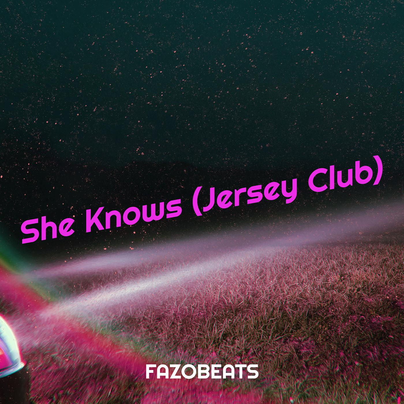 Постер альбома She Knows (Jersey Club)