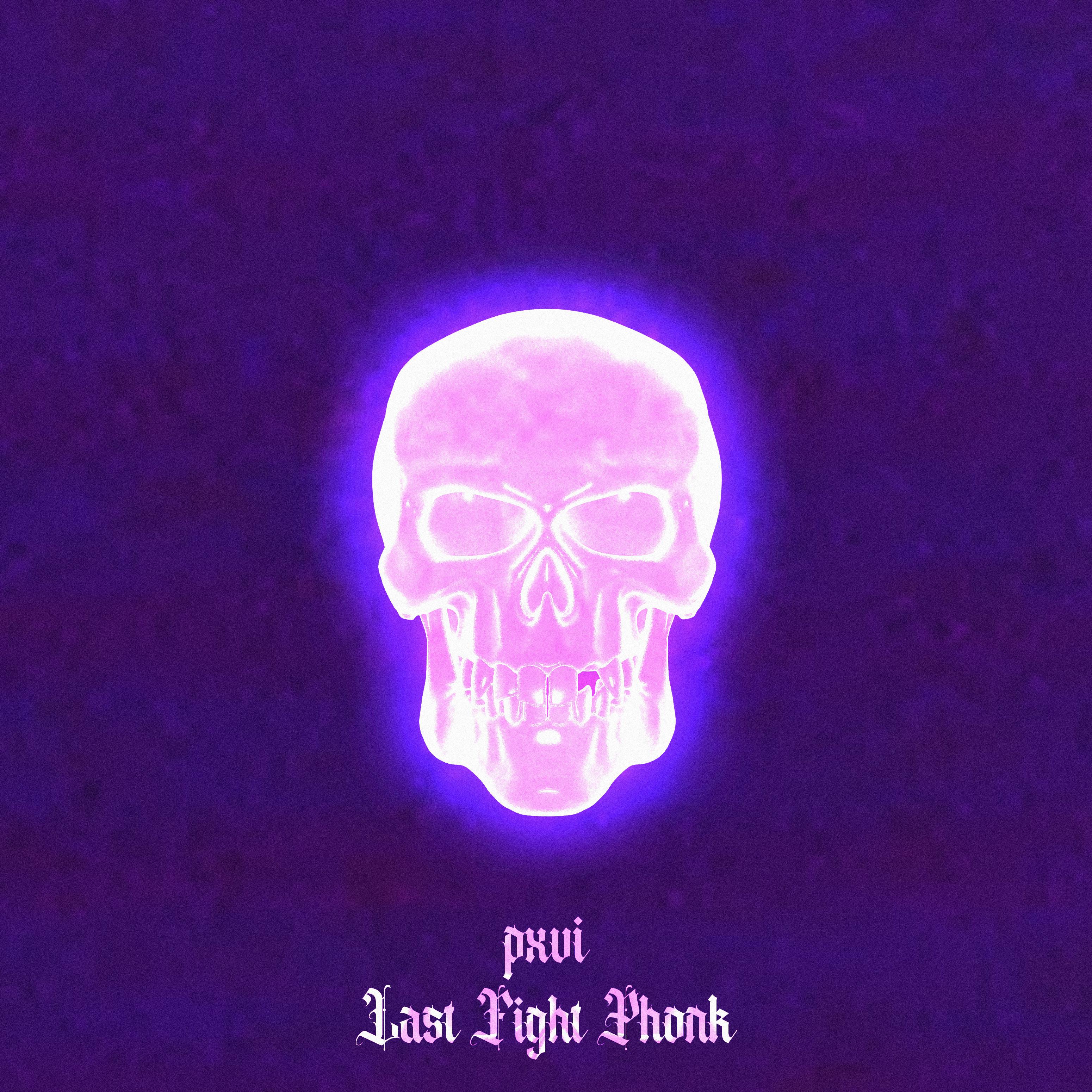 Постер альбома Last Fight Phonk