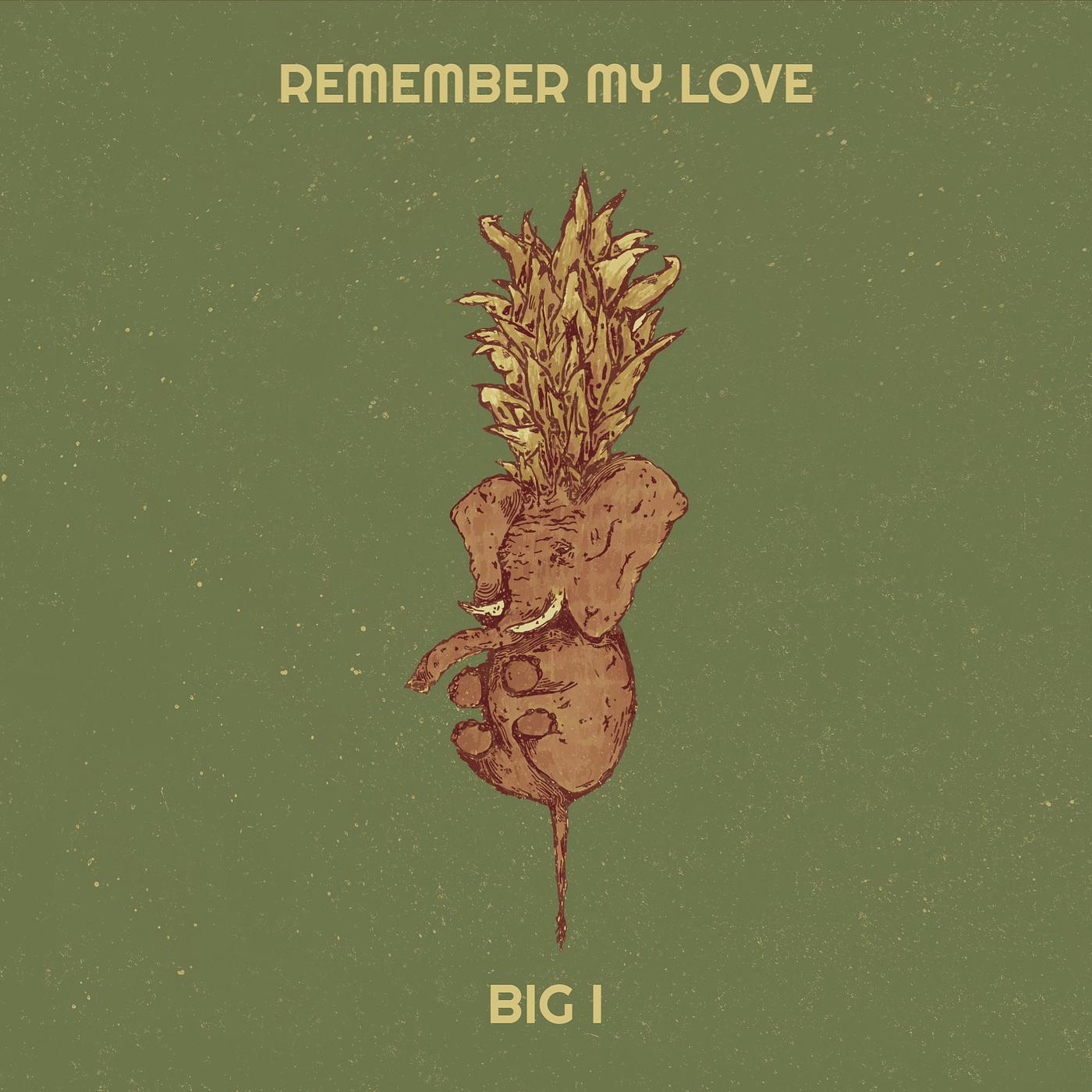 Постер альбома Remember My Love