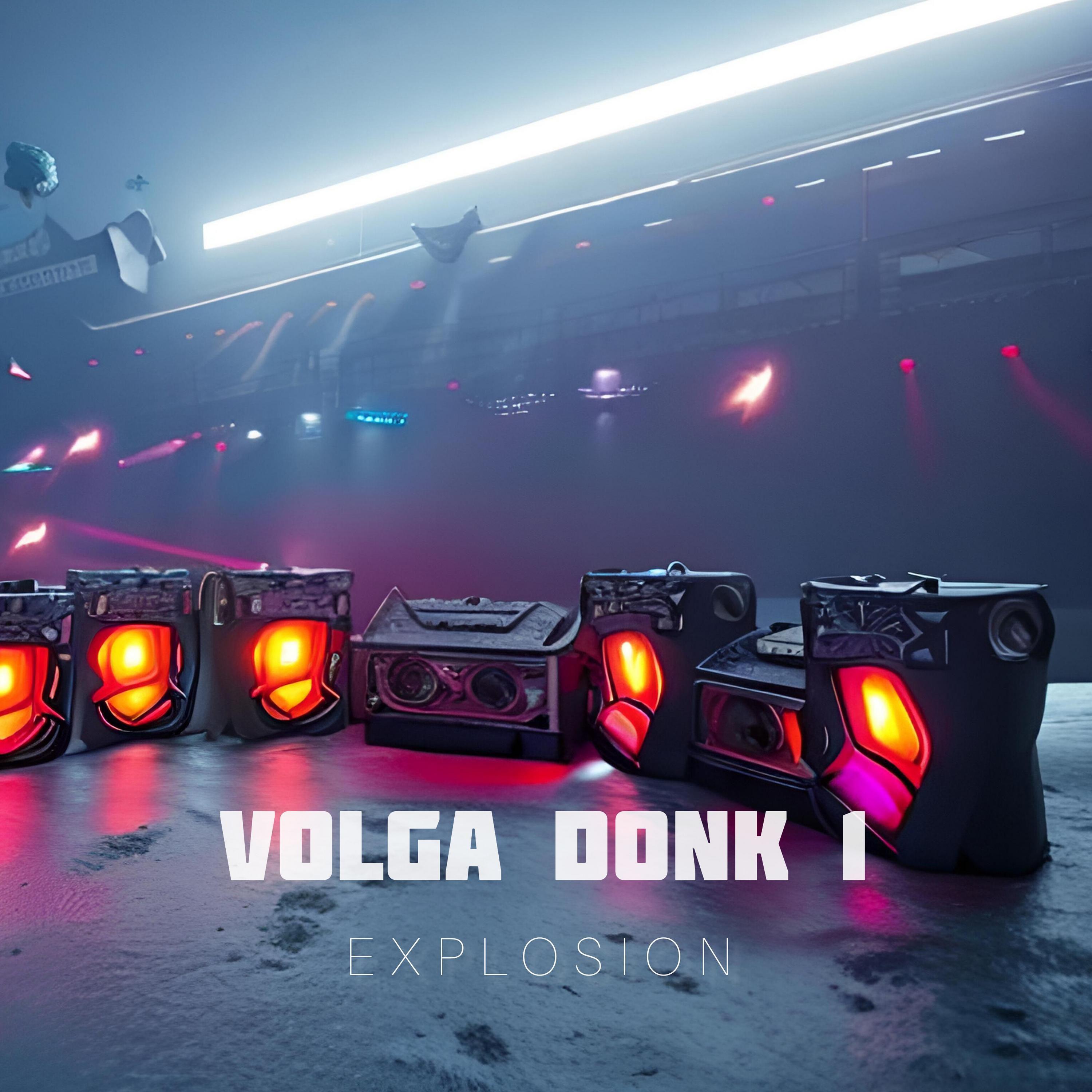 Постер альбома VOLGA DONK 1