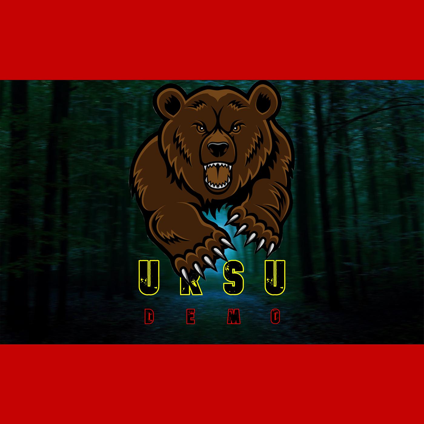 Постер альбома Ursu