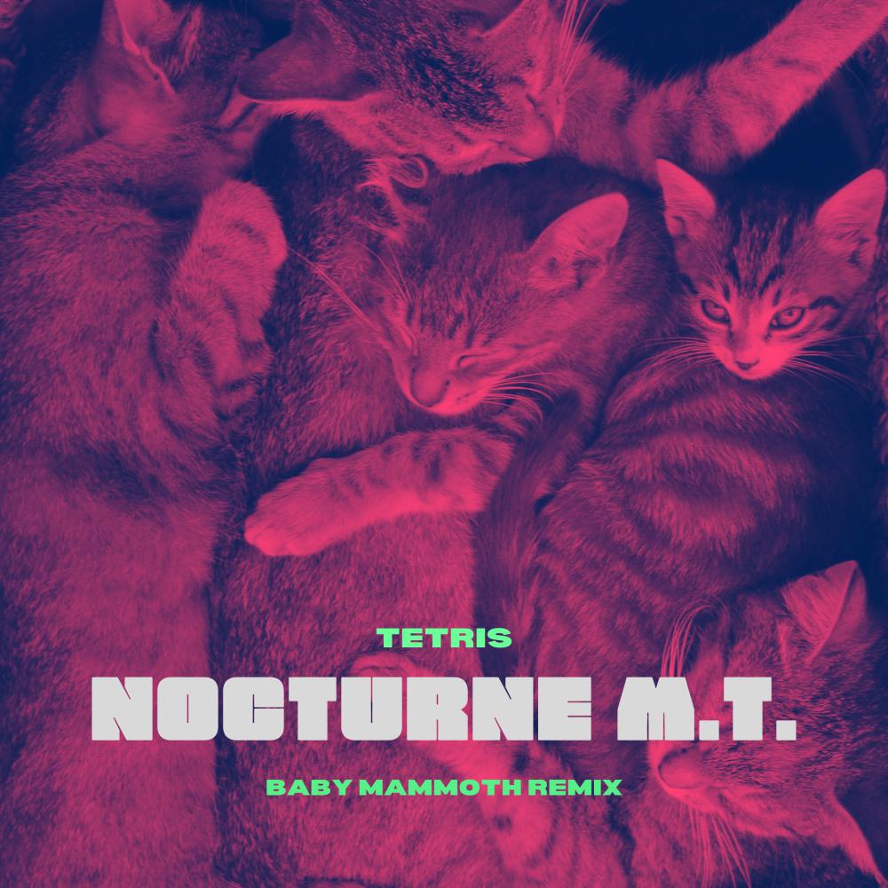 Постер альбома Nocturne M.T. (Baby Mammoth Remix)