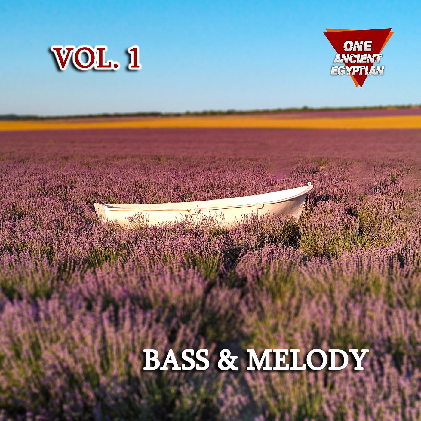 Постер альбома Bass & Melody, Vol. 1