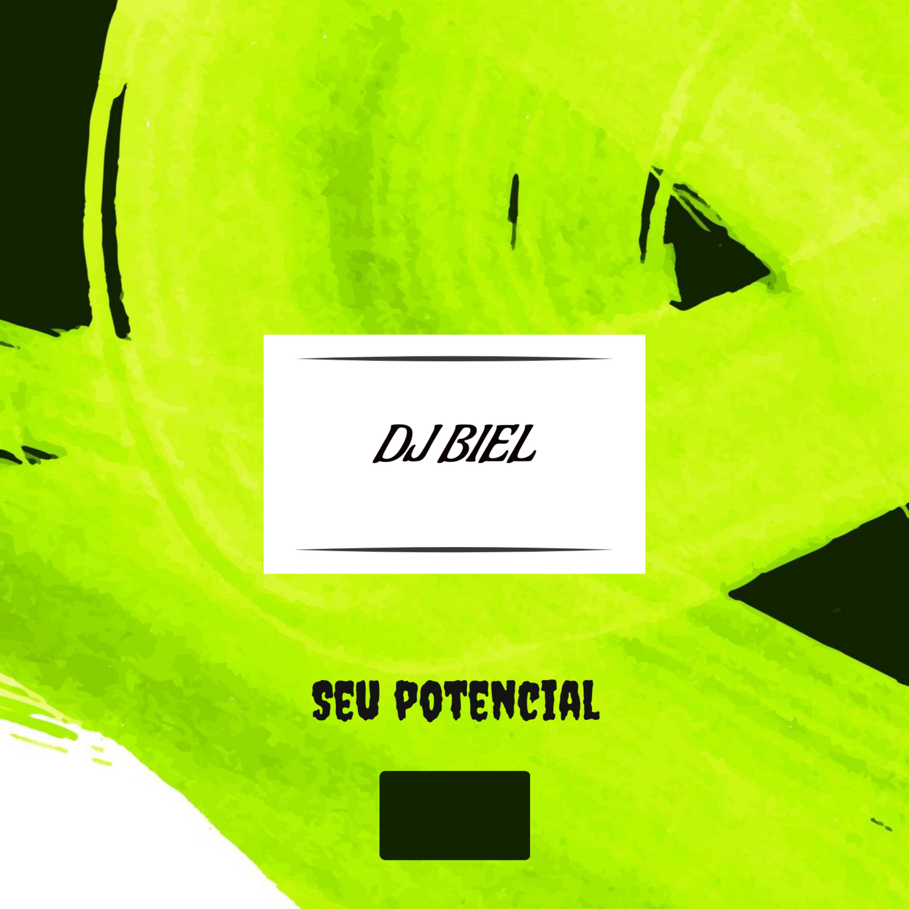 Постер альбома Seu Potencial