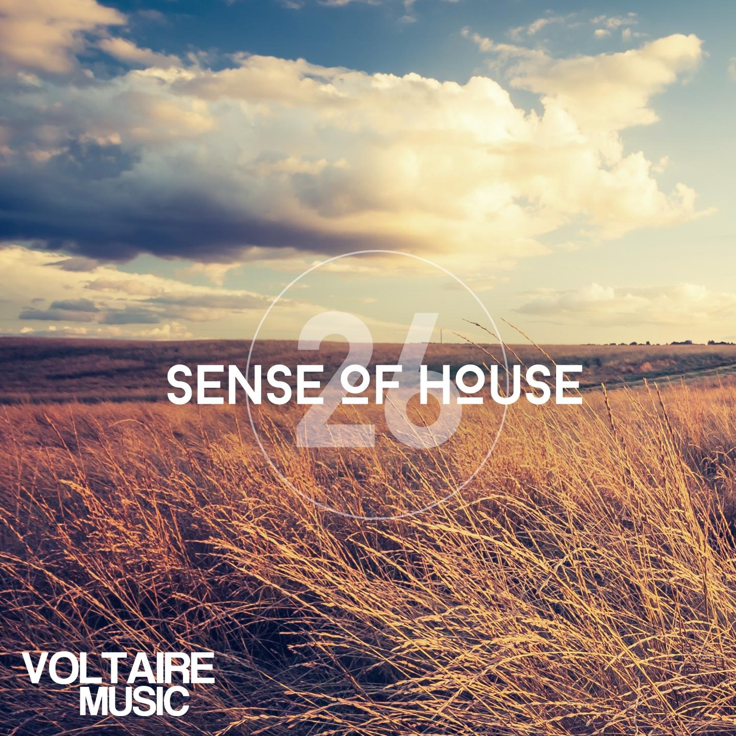 Постер альбома Sense of House, Vol. 26