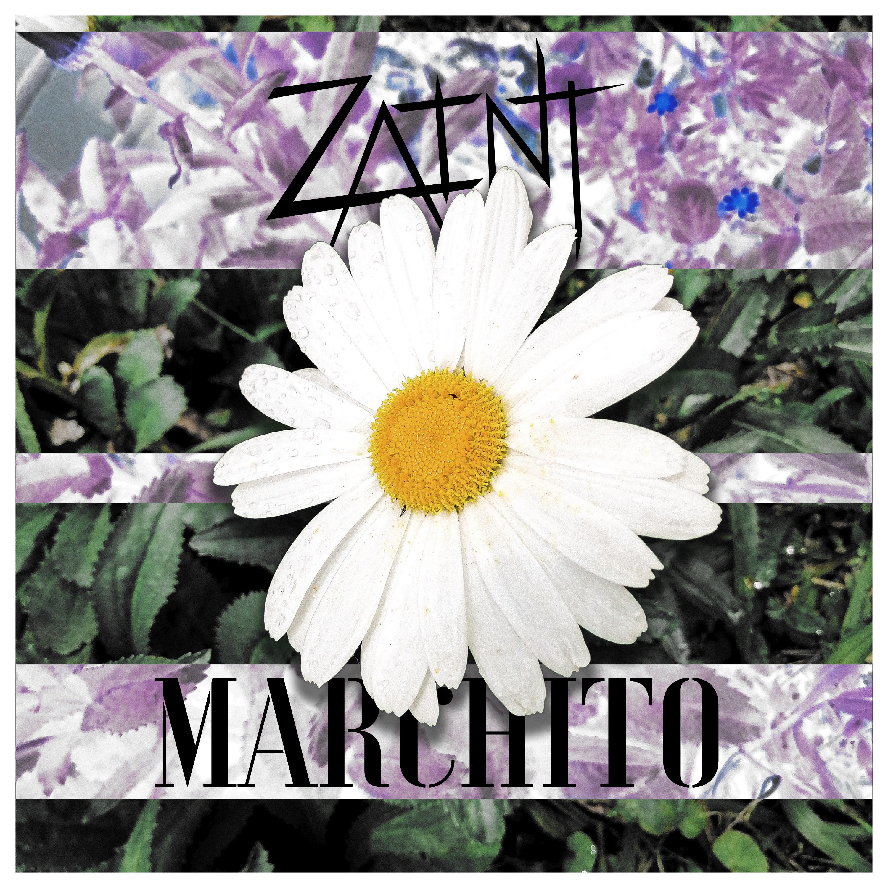 Постер альбома Marchito