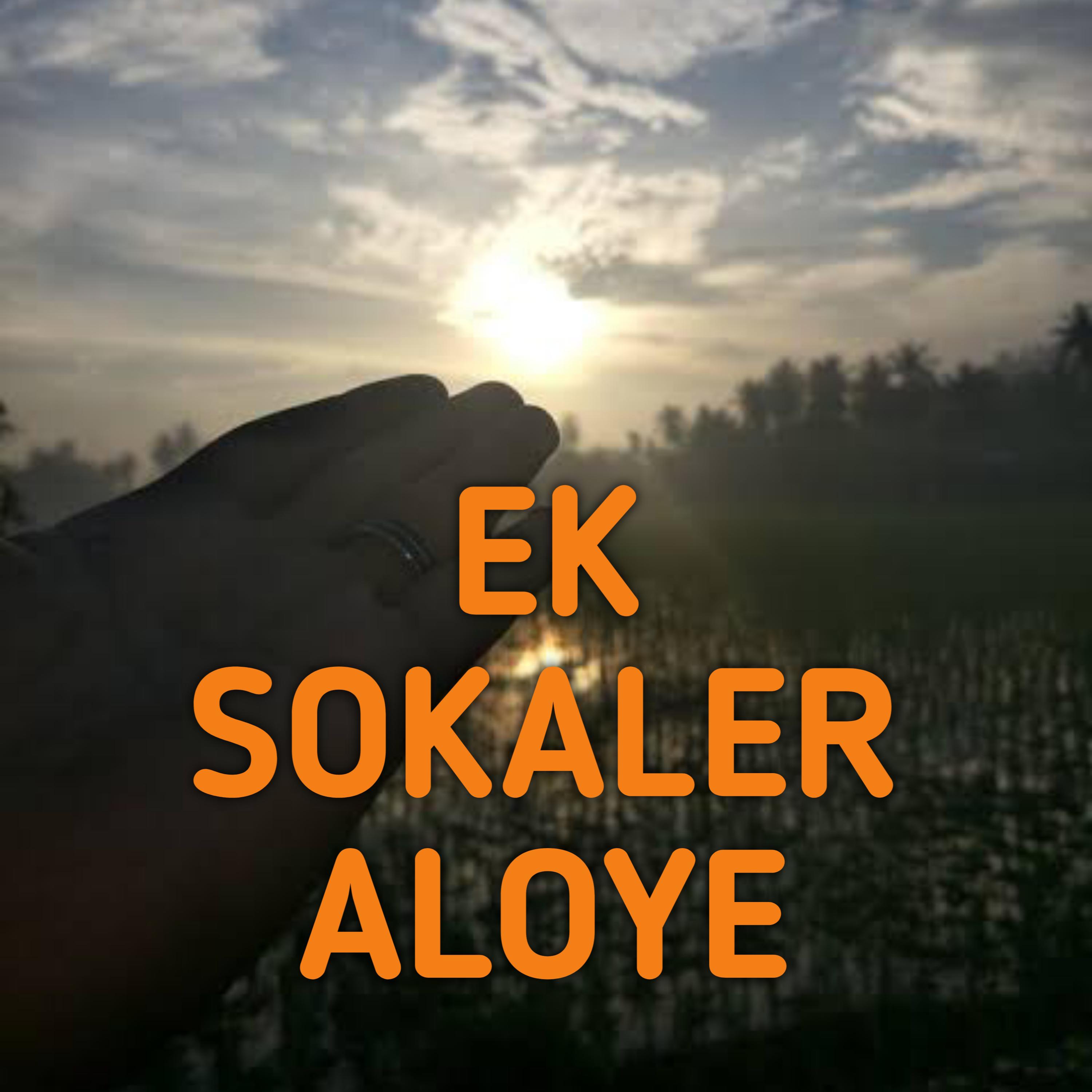Постер альбома EK SOKALER ALOYE