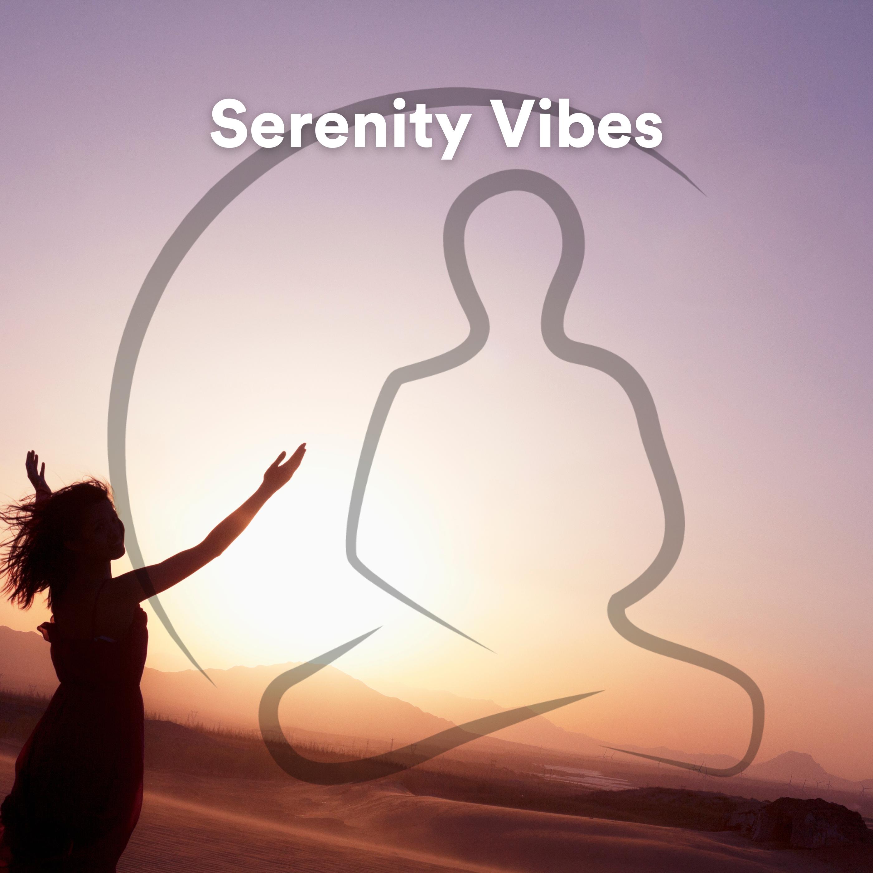Постер альбома Serenity Vibes