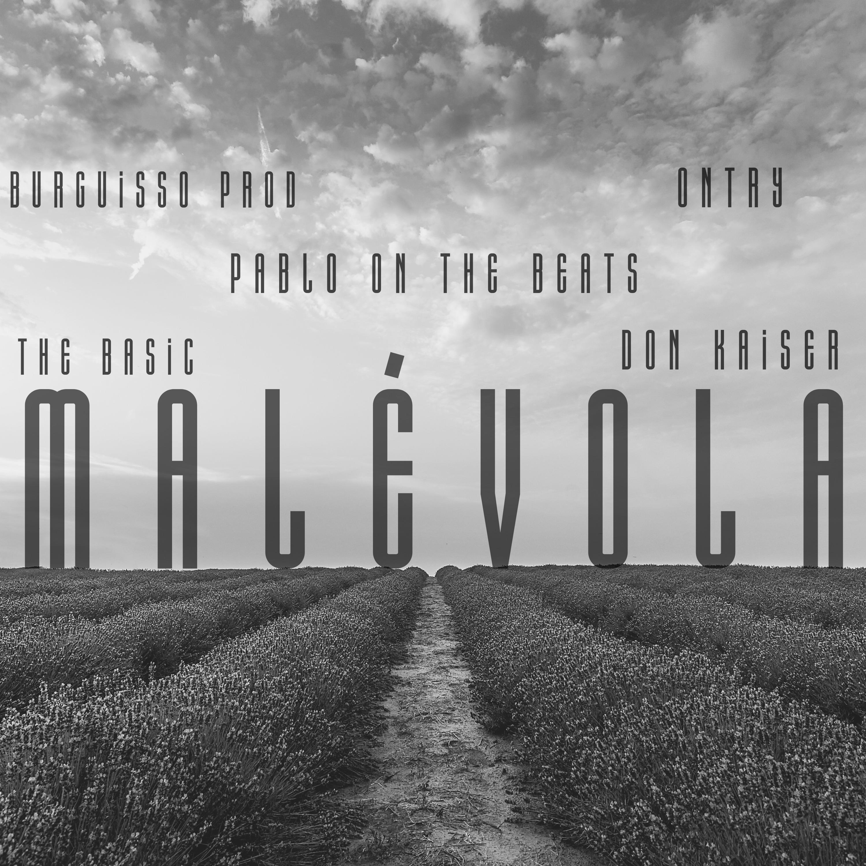Постер альбома Malévola