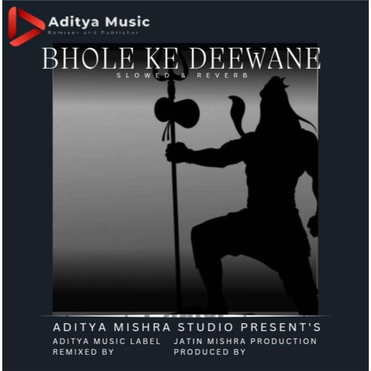 Постер альбома Bhole Ke Deewane