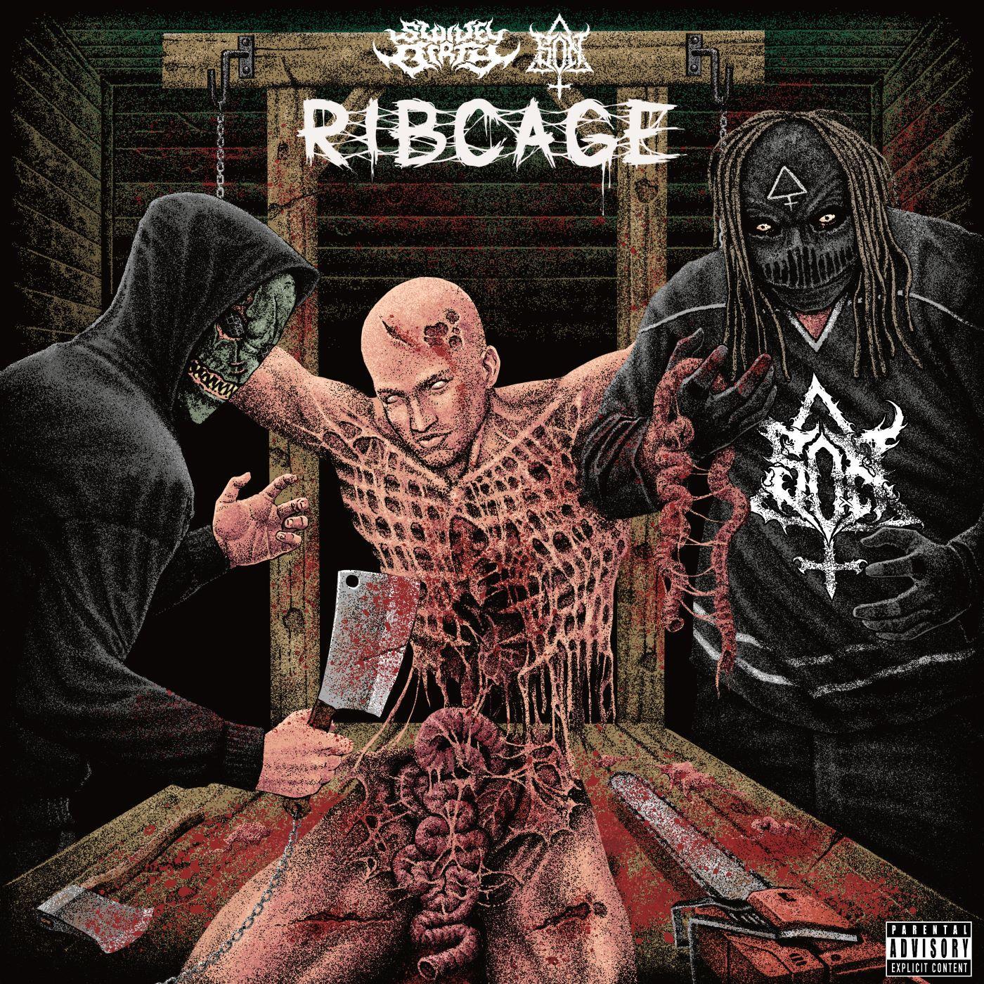 Постер альбома Ribcage (feat. S.O.N)