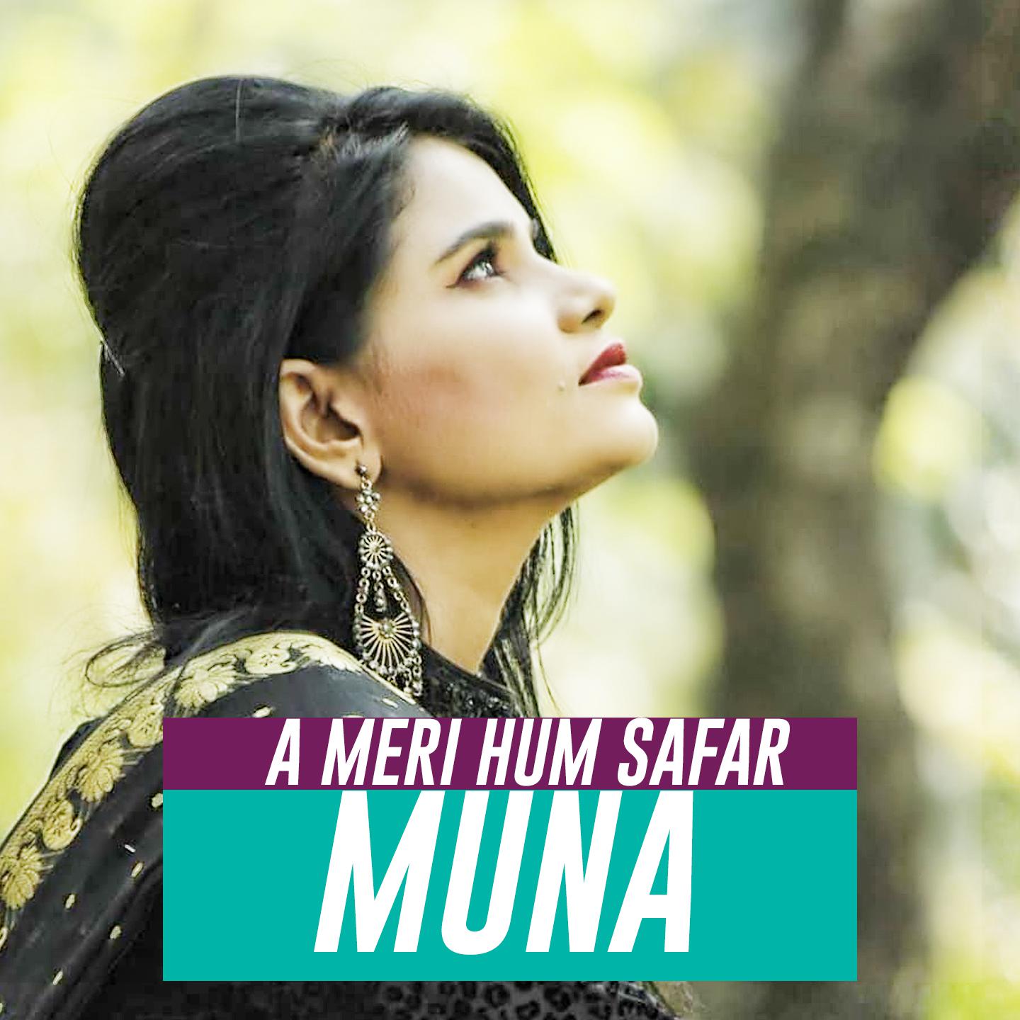 Постер альбома A Meri Hum Safar