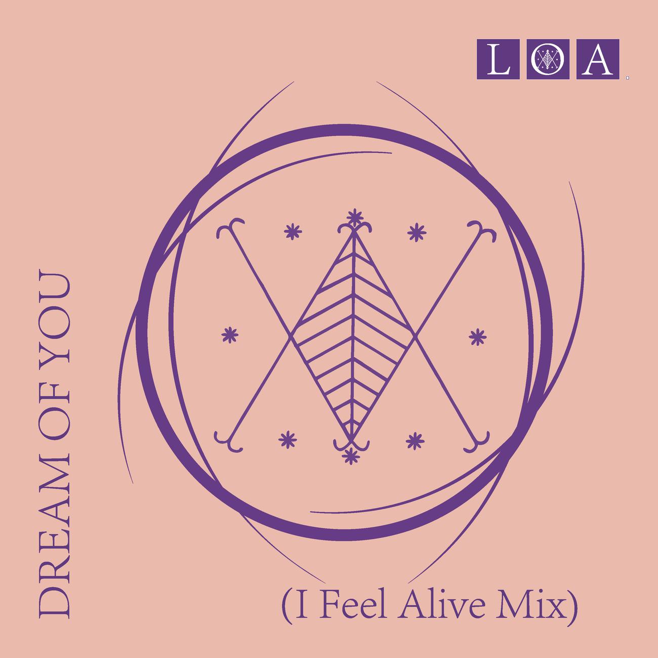 Постер альбома Dream of You (I Feel Alive Mix)