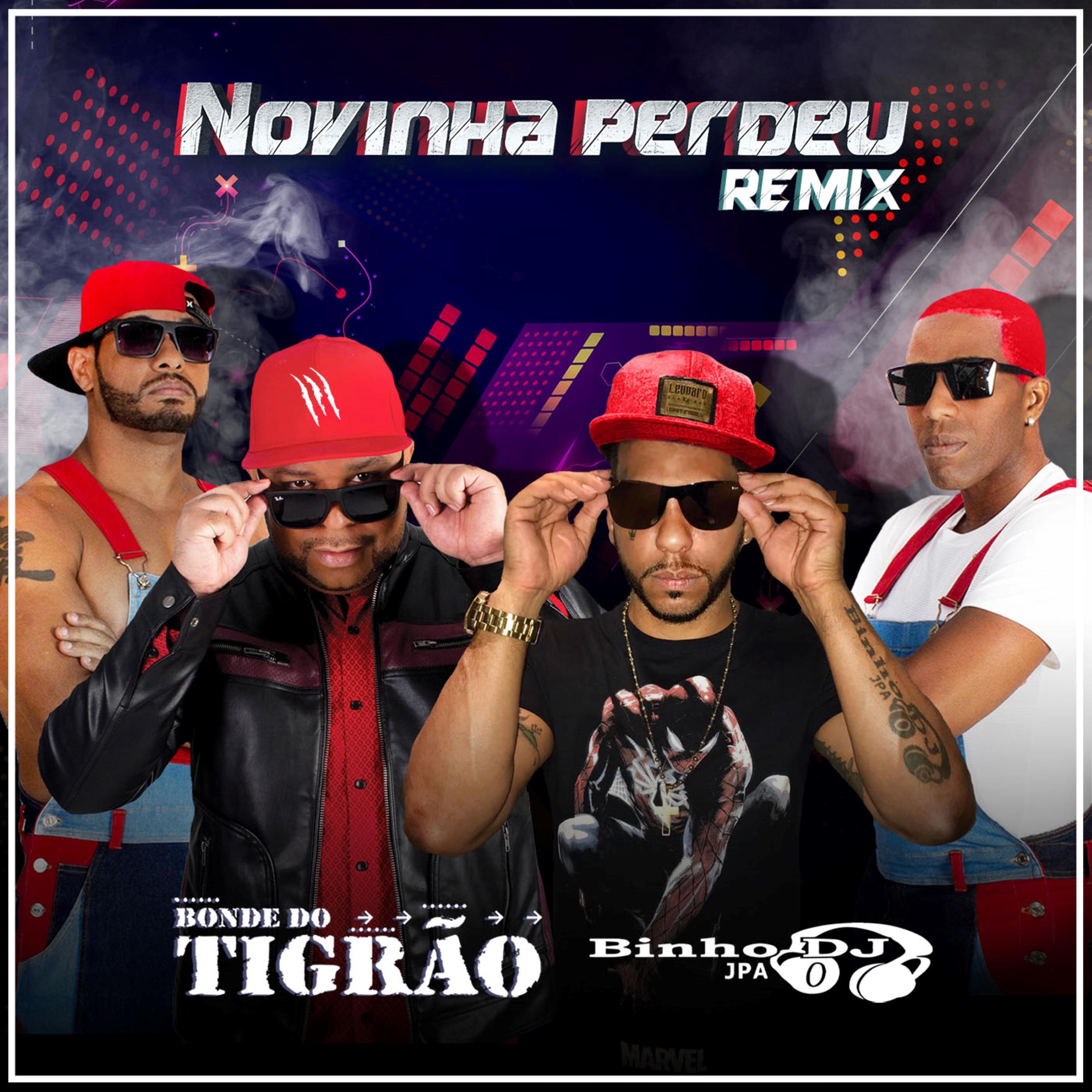 Постер альбома Novinha Perdeu