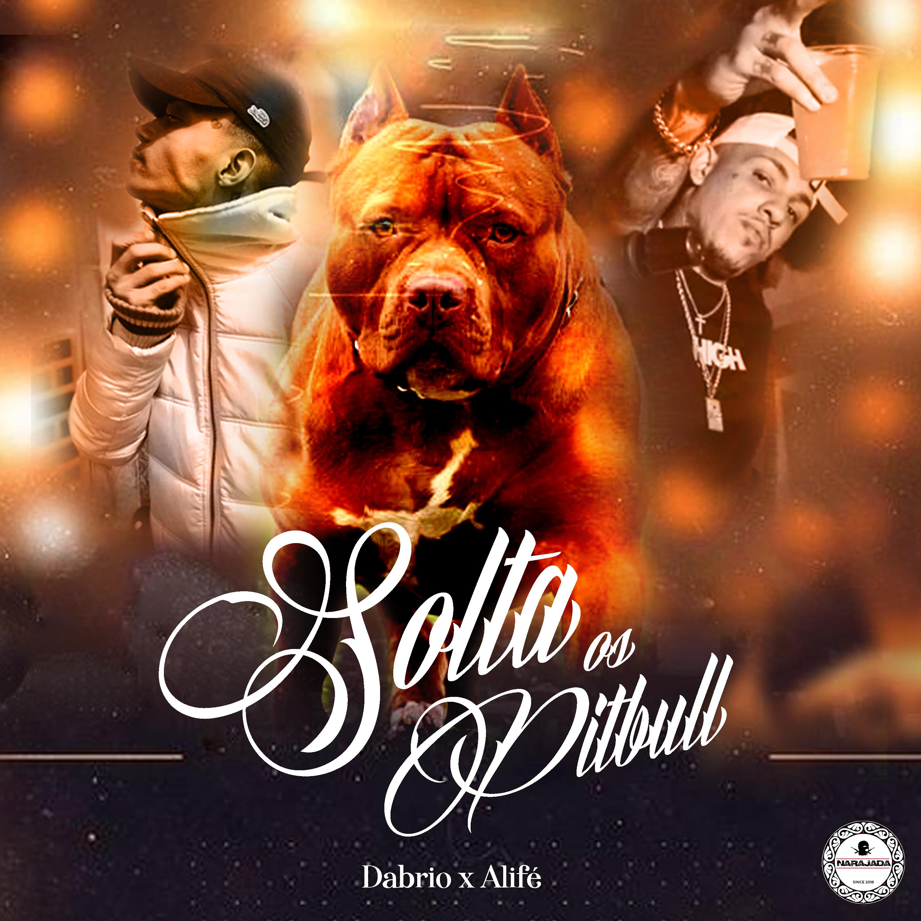 Постер альбома Solta os Pitbull