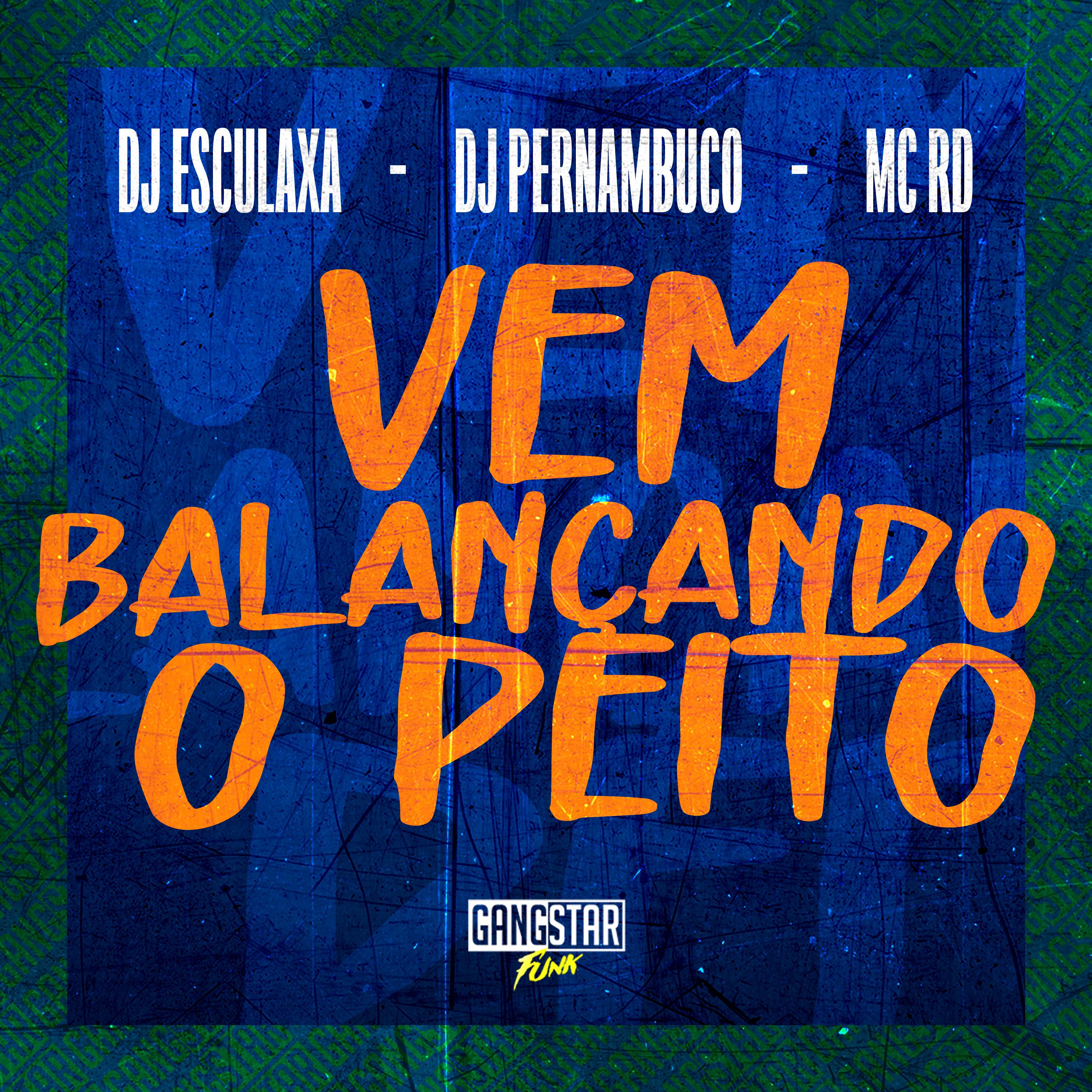 Постер альбома Vem Balançando o Peito