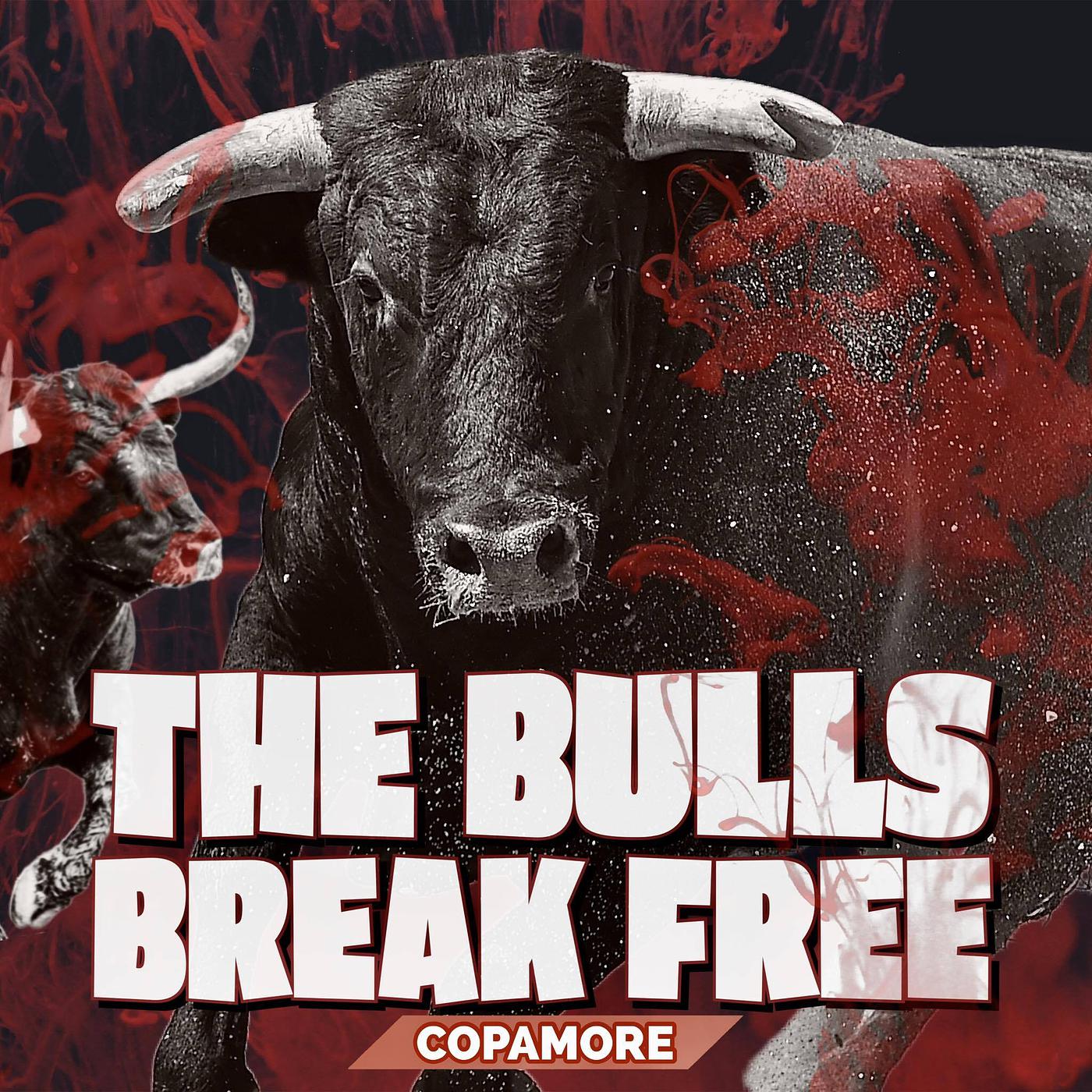 Постер альбома The Bulls Break Free