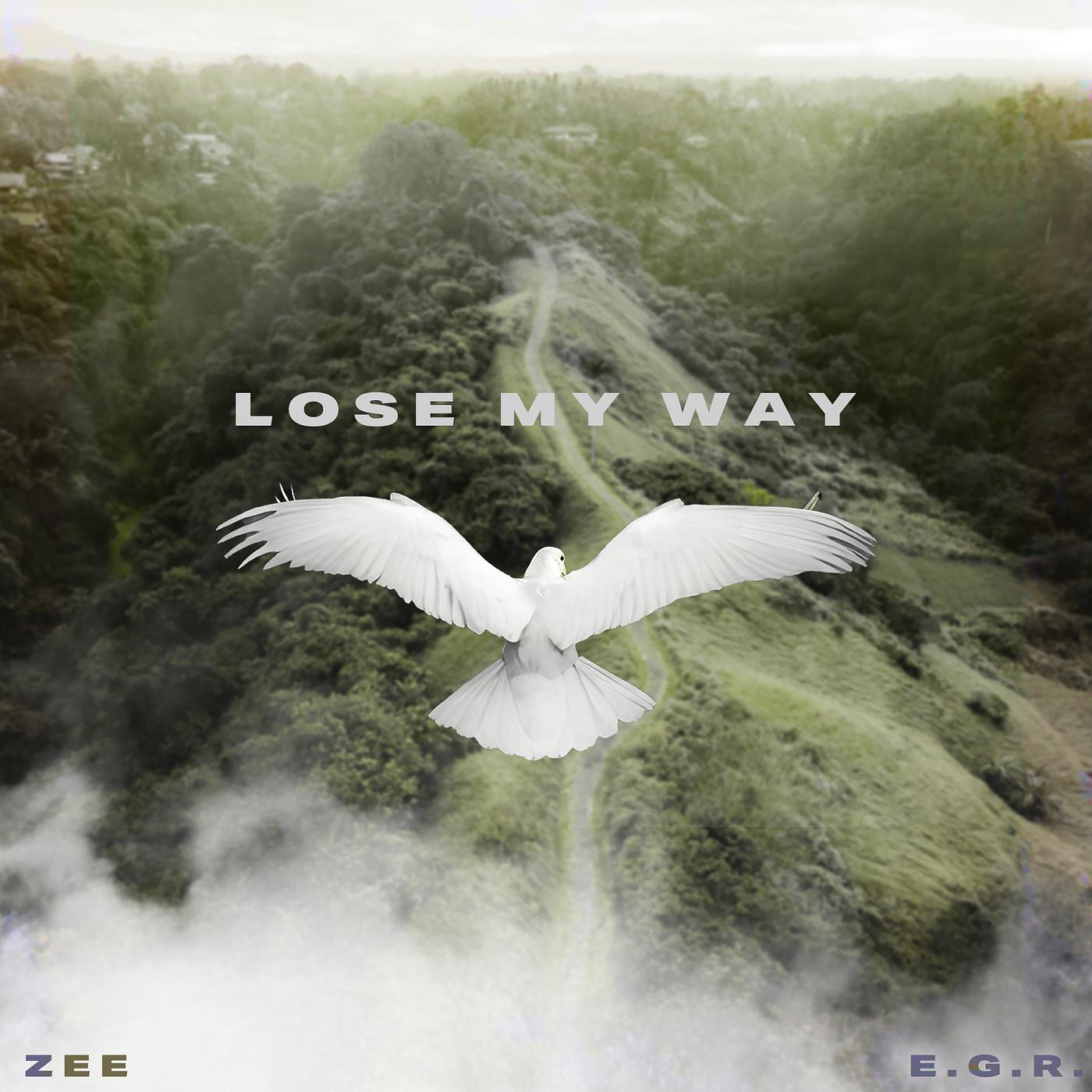 Постер альбома Lose My Way