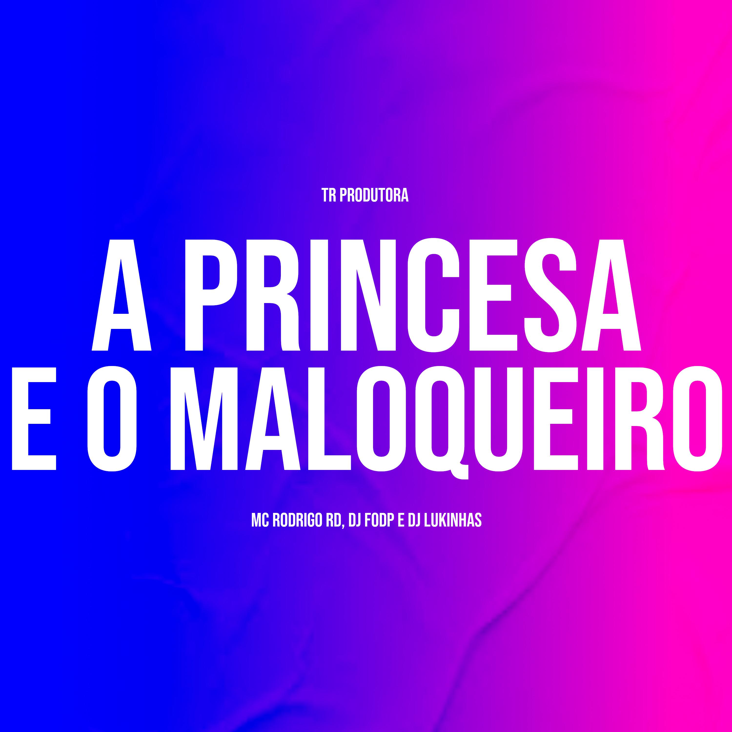 Постер альбома A Princesa e o Maloqueiro